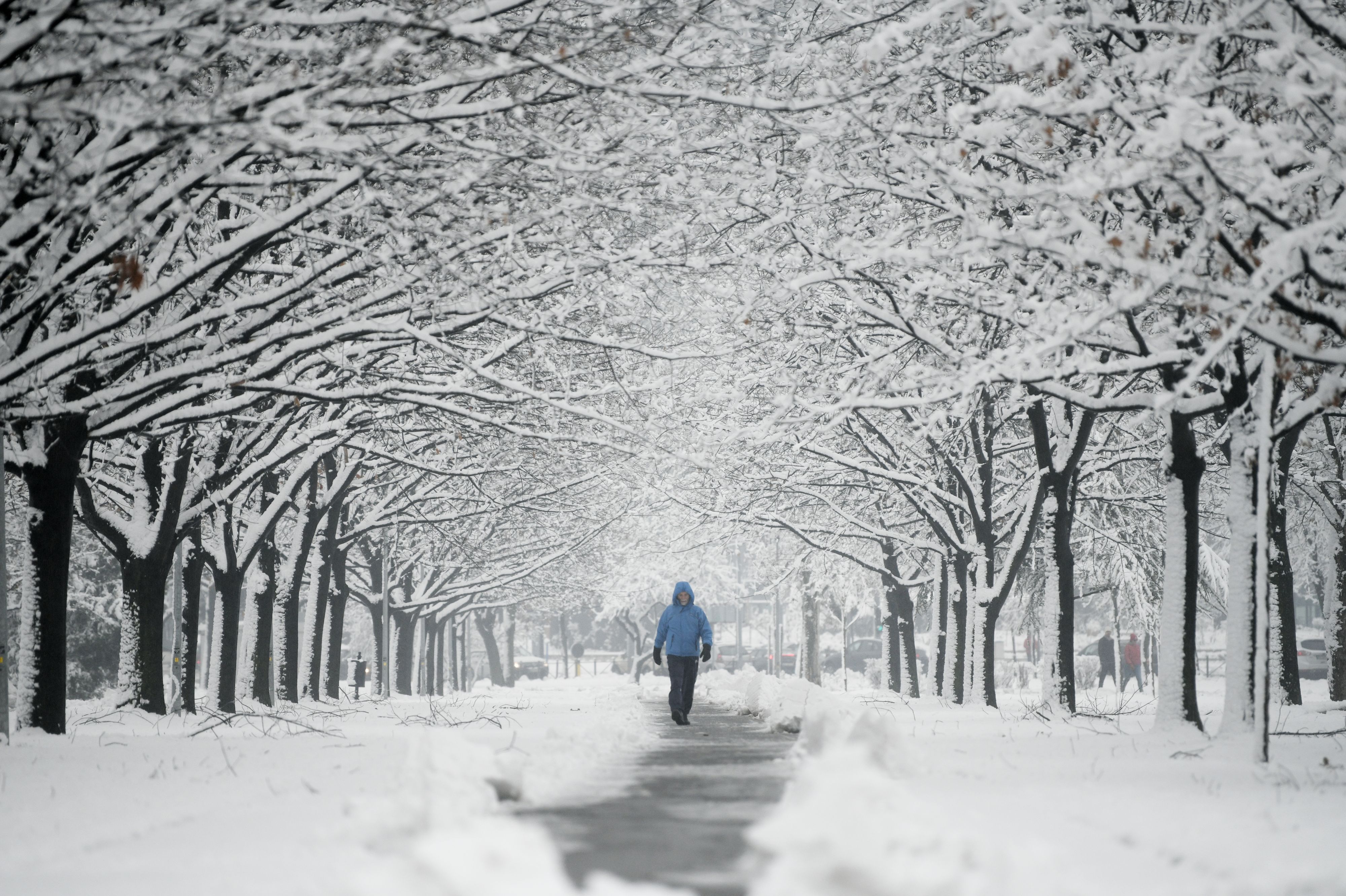 Beograd 11. januar 2021. Sneg i zima u Beogradu Foto:Filip Krainčanić/Nova.rs