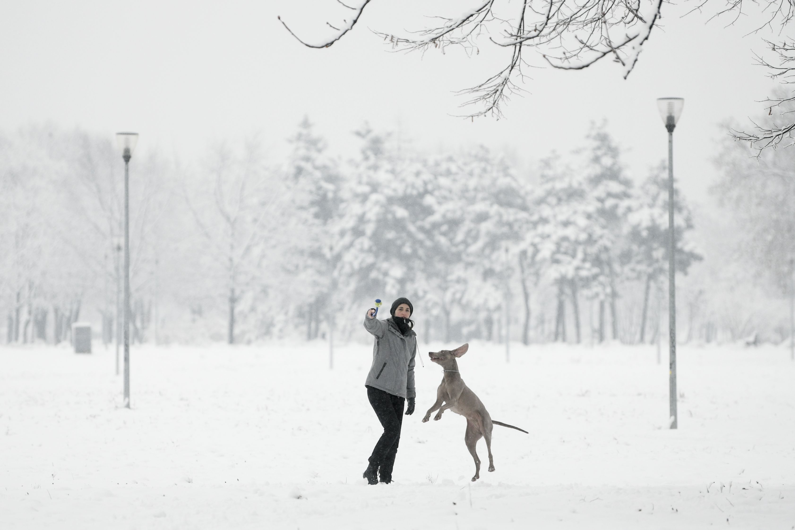 Beograd 11. januar 2021. Sneg i zima u Beogradu Foto:Filip Krainčanić/Nova.rs
