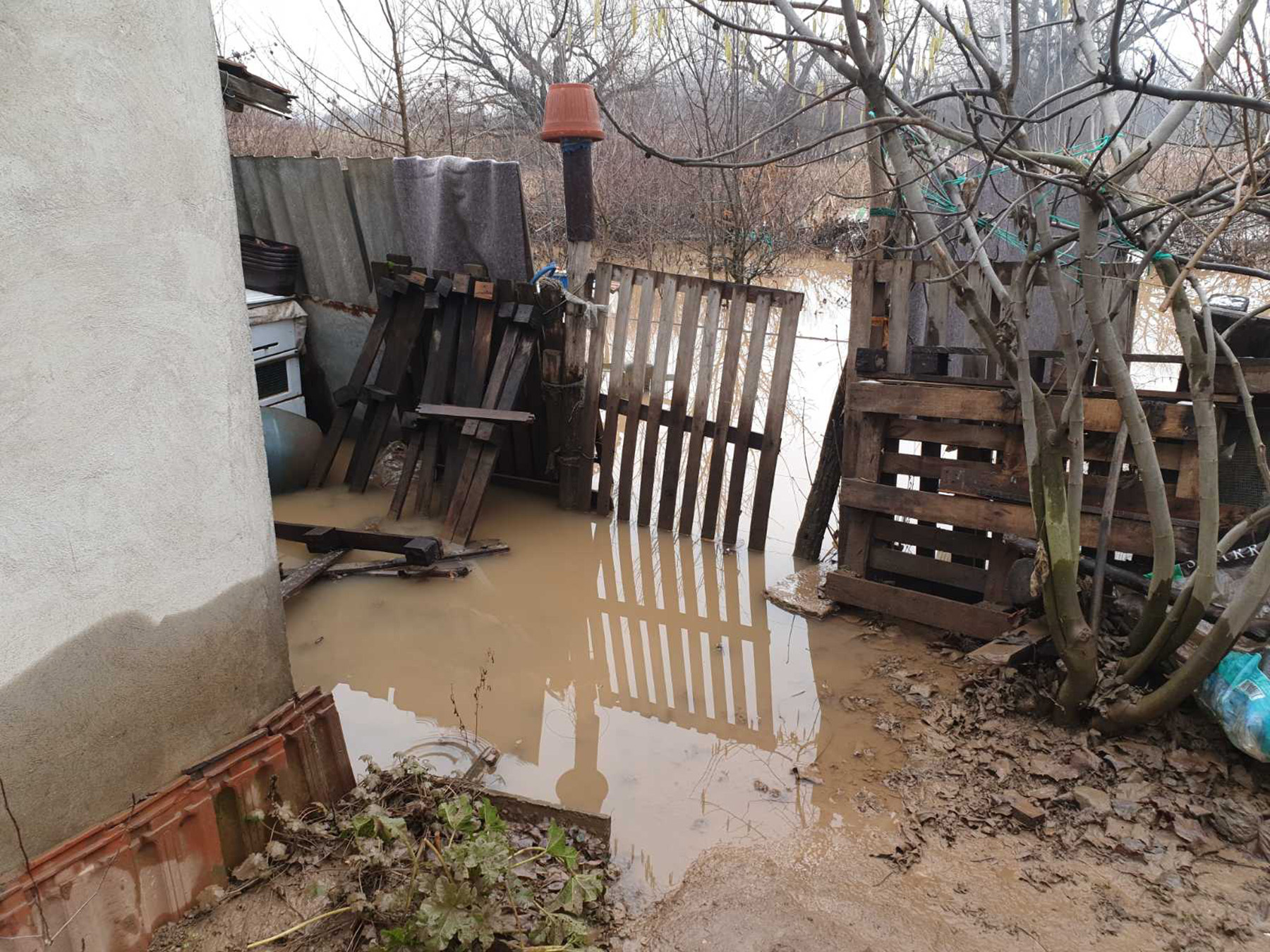 poplave zorka dobric (1)