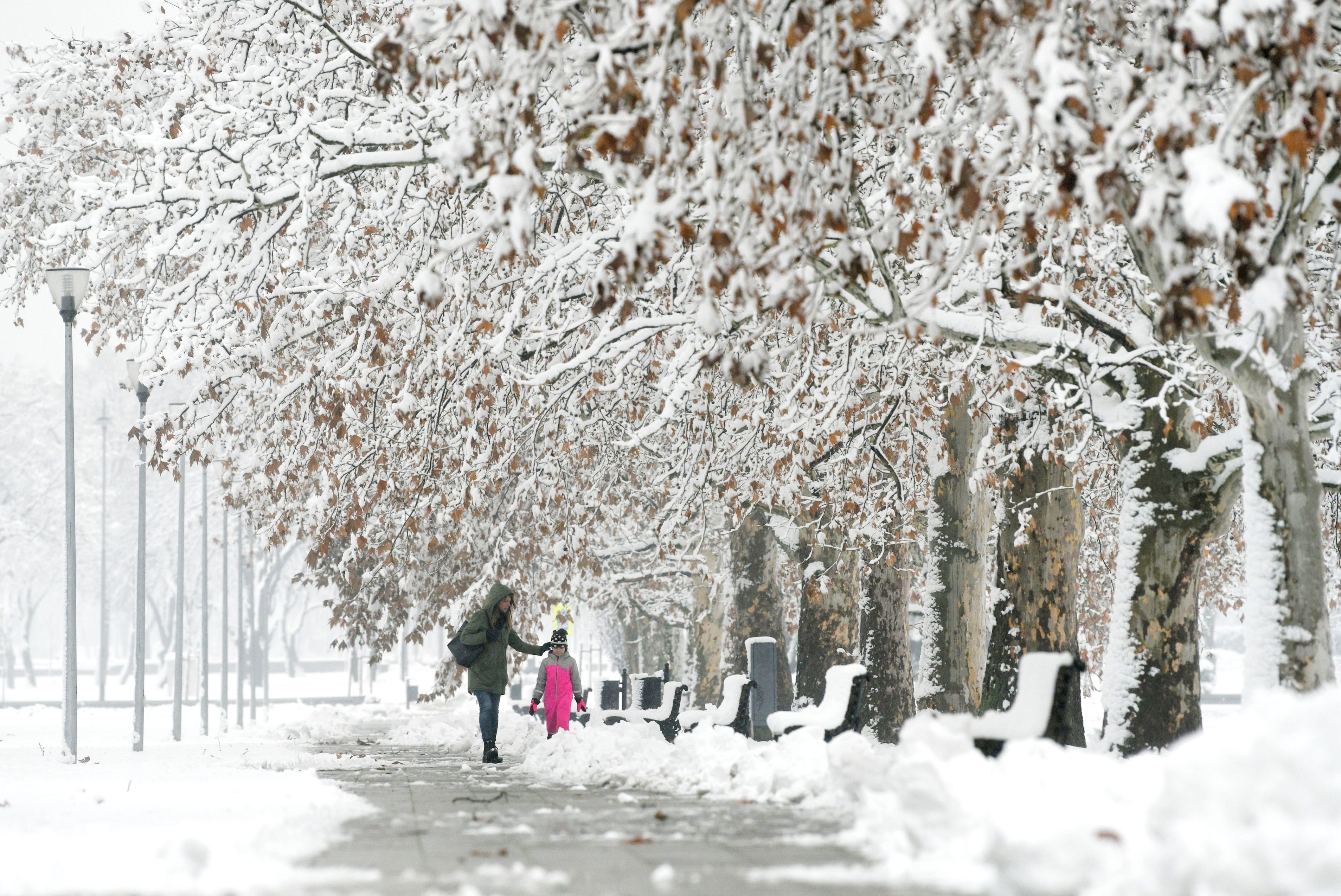 Beograd 11. januar 2021. Sneg i zima u Beogradu Foto:Filip Krainčanić/Nova.rs