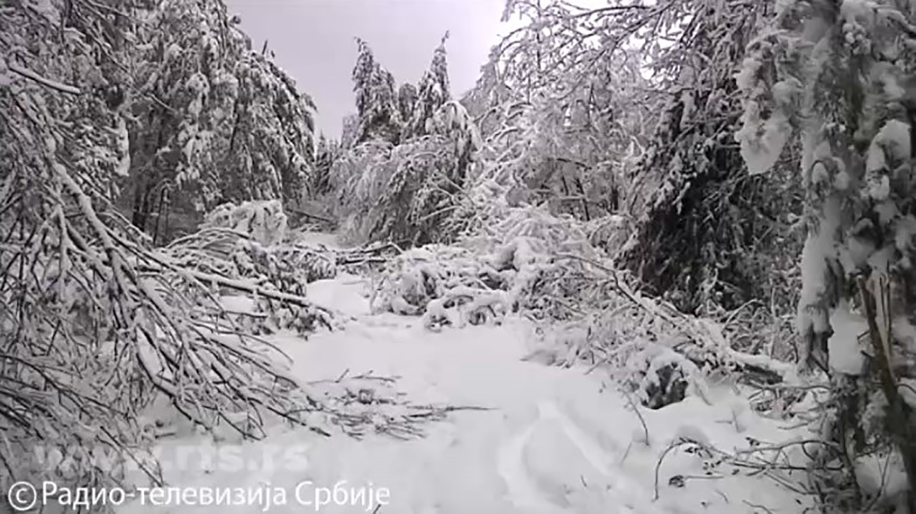 Kataklizma na jugu Srbije