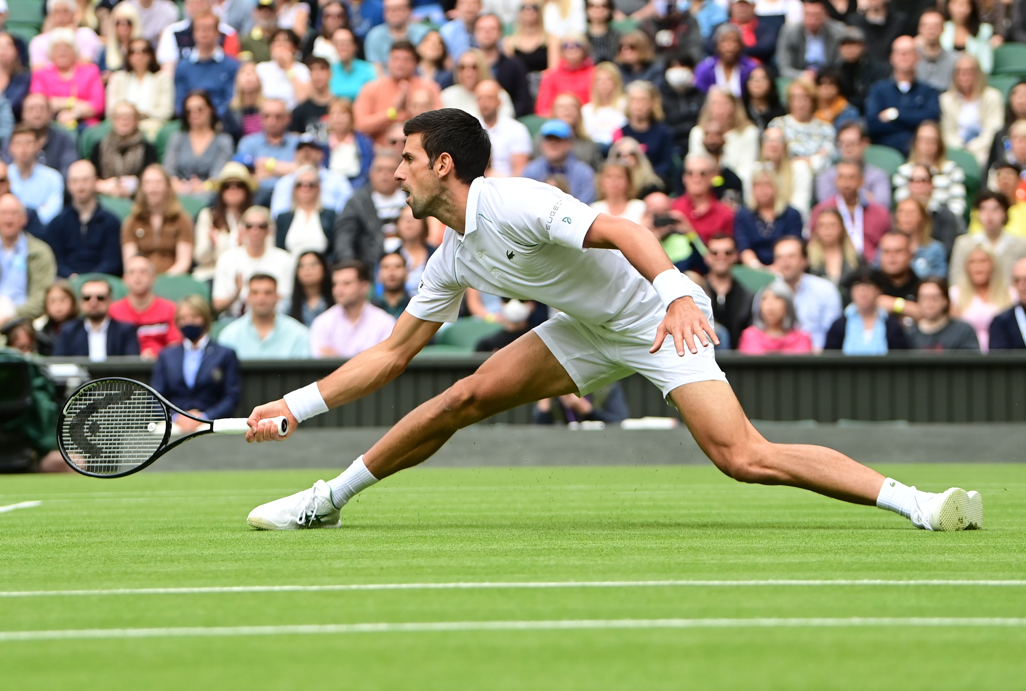 Wimbledon Championships 2021