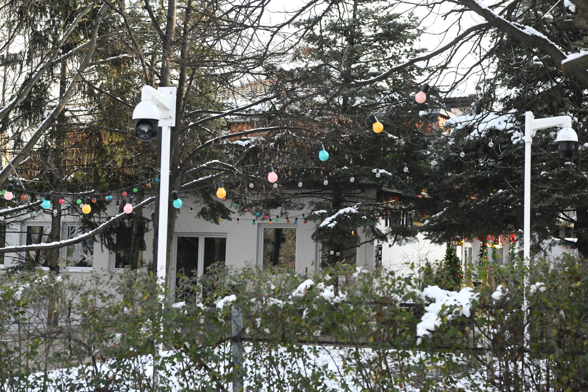 hronika miljakovac rakovica Ispaljena zolja na restoran u Rakovici  restoran u Vukasovićevoj ulici u Rakovici