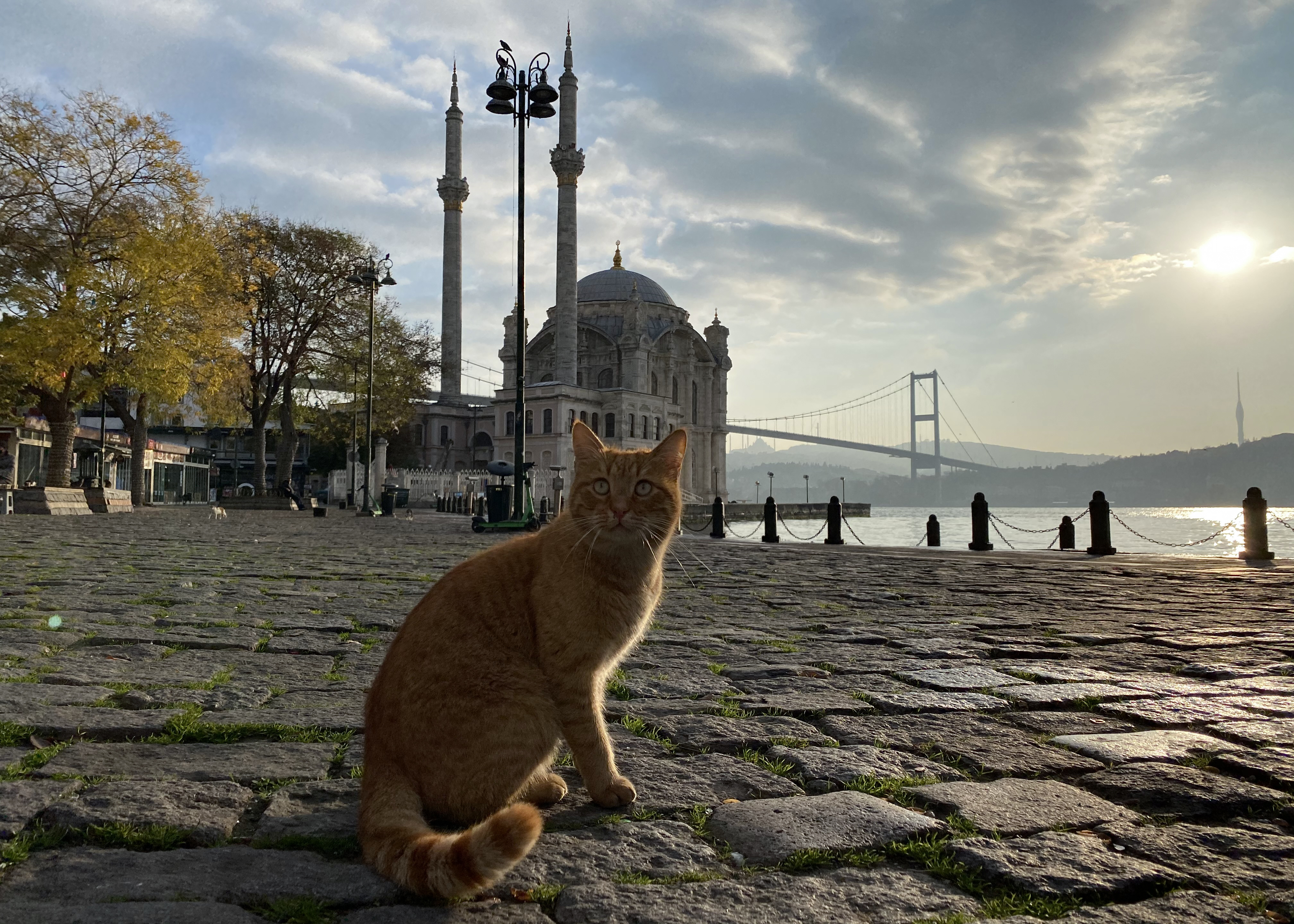 Lockdown in Istanbul amid coronavirus pandemic koronavirus turska istanbul