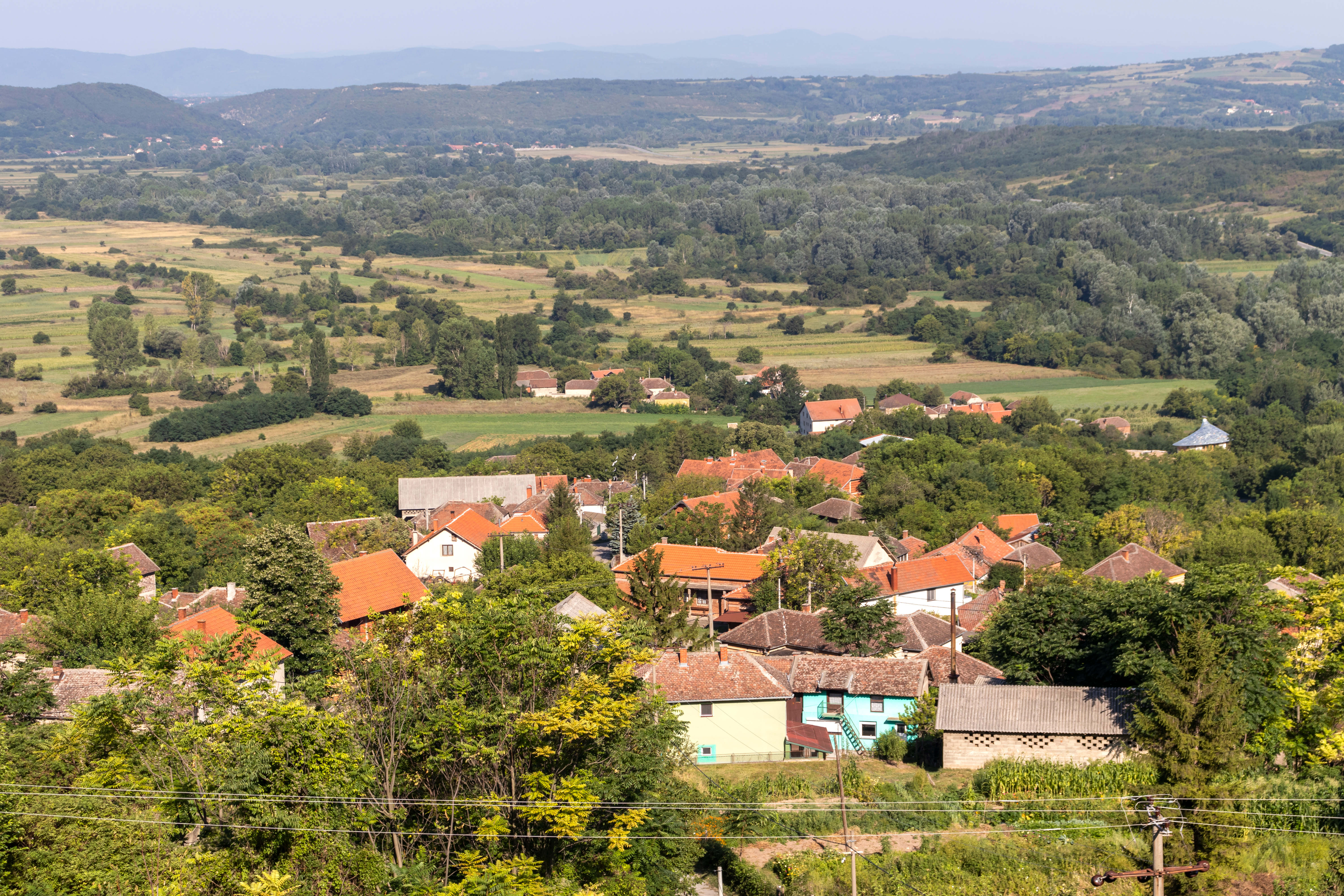 Šumadija, proplanak, zelenilo, šuma Foto: Shutterstock