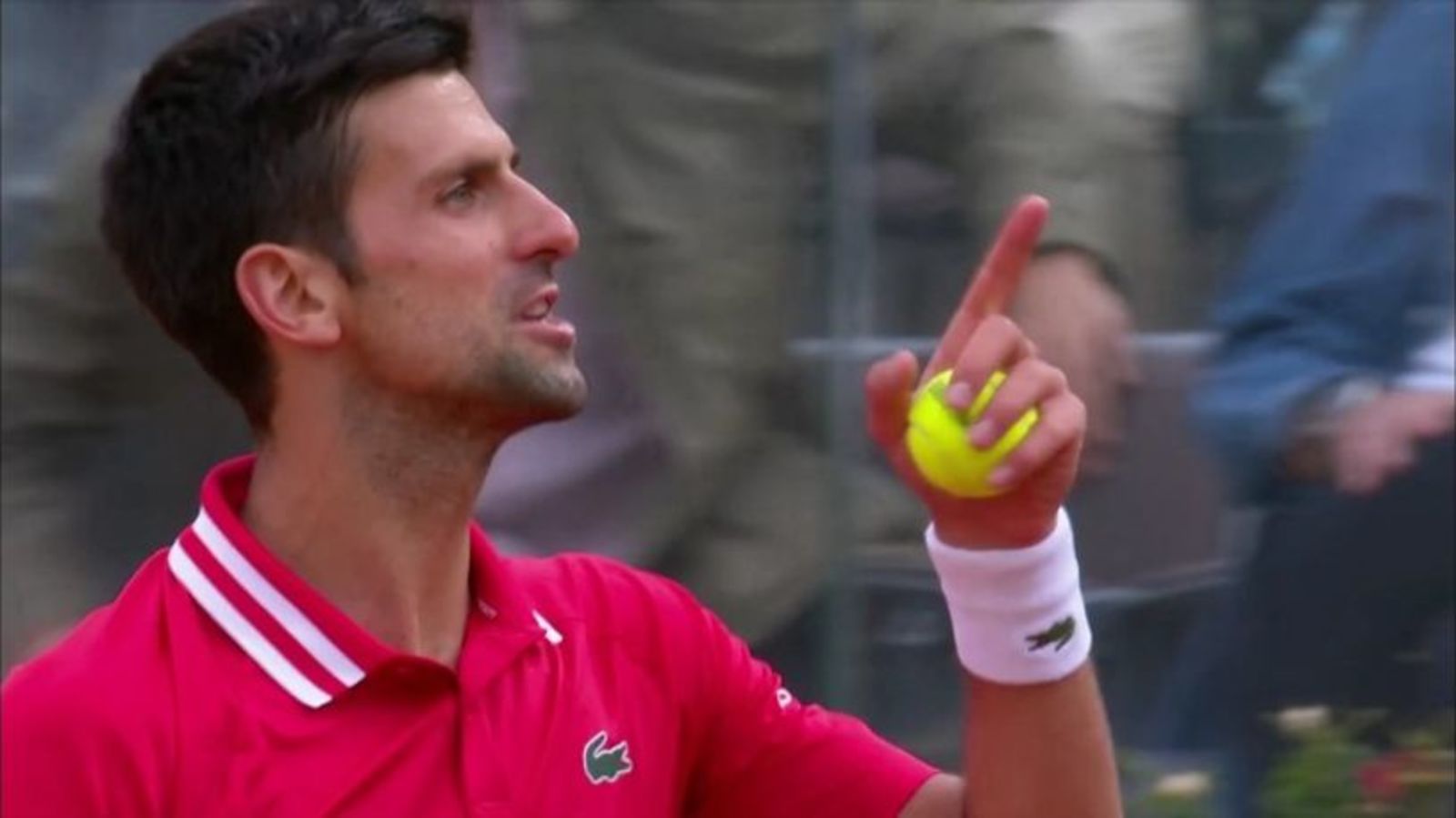 novak 1600