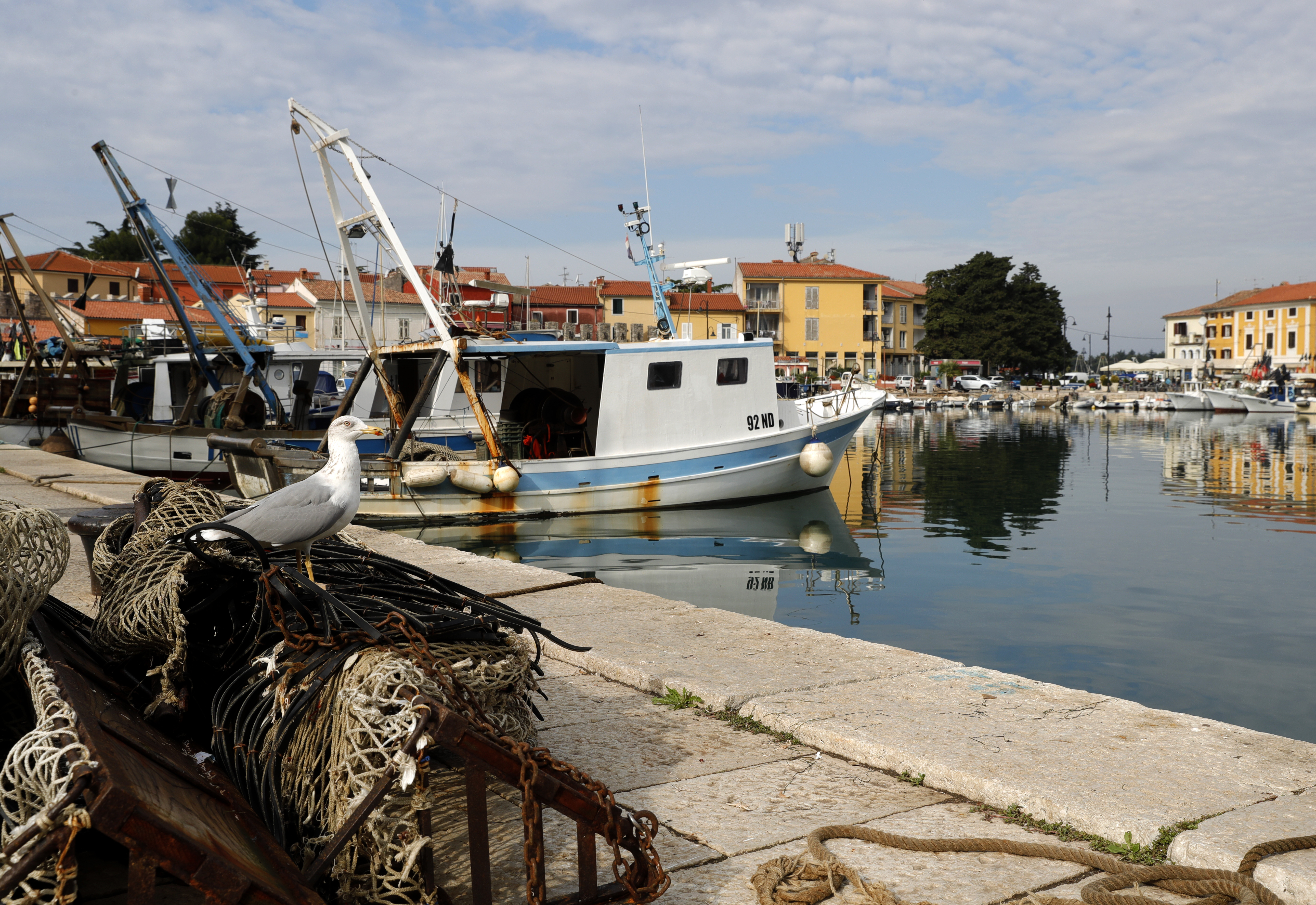 epa07102513 A seagull rests on fishing nets on a nice autumn weather in the small town of Novigrad, in Istria peninsula, Croatia, 18 October 2018. Istria peninsula is one of the top touristic destinations of Croatian Adriatic Sea.  EPA-EFE/ANTONIO BAT