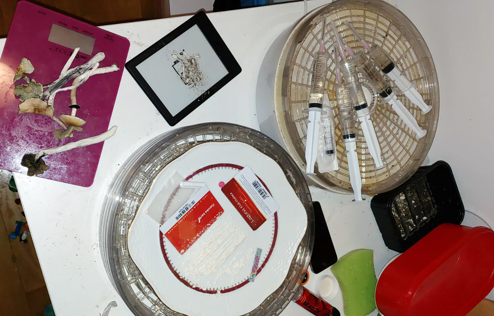 Droga, narkotik, narkotici, kokain, pečurke, heroin Foto: MUP Srbije