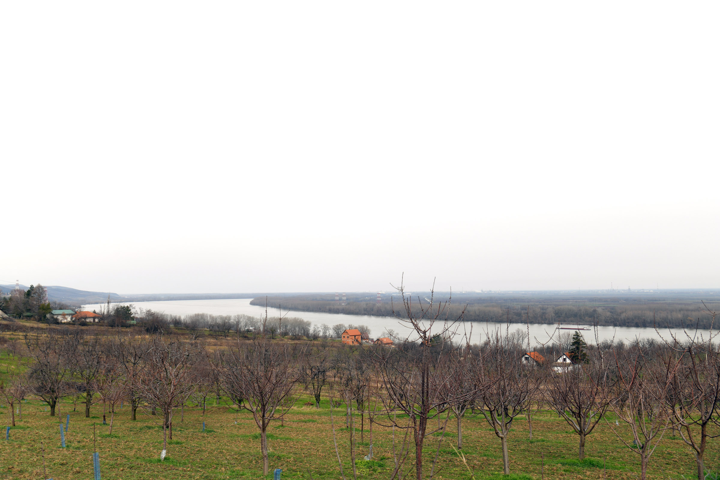 Velja Nevolja Ritopek foto Nemanja Jovanovic Nova rs (14)