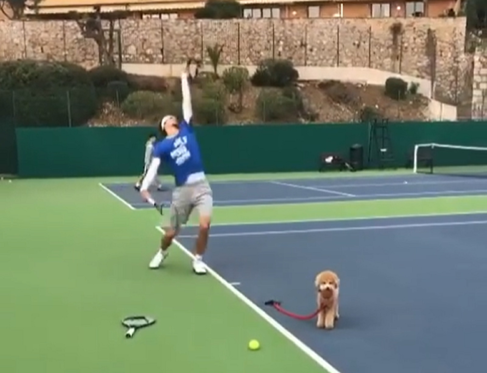 aleksandar Zverev pas