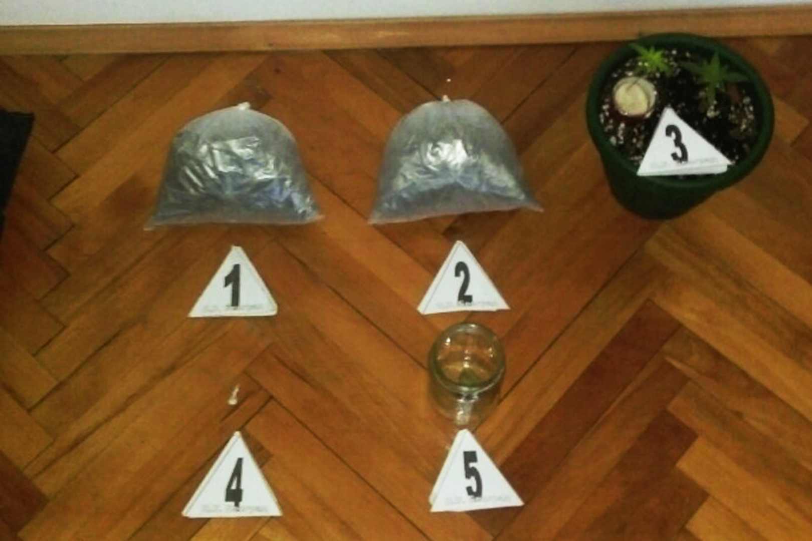 Zaplena marihuane, marihuana
