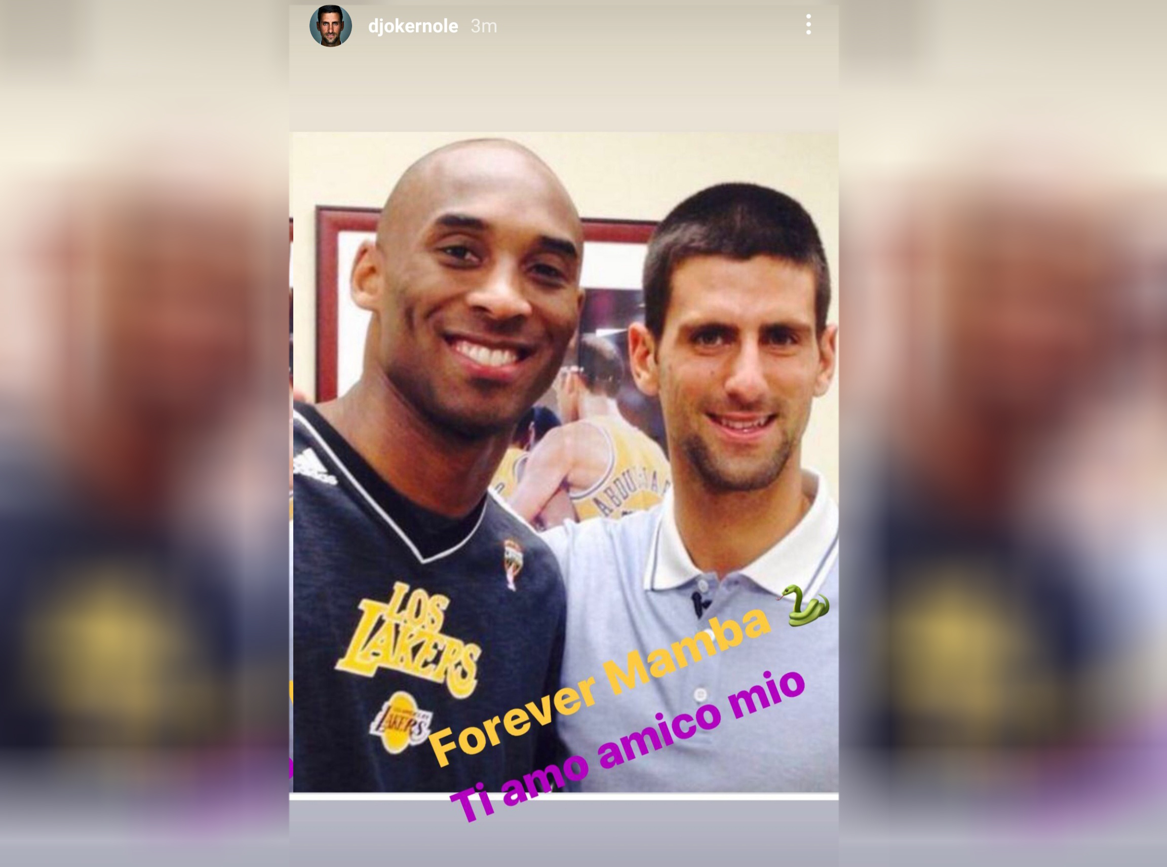 novak i kobi