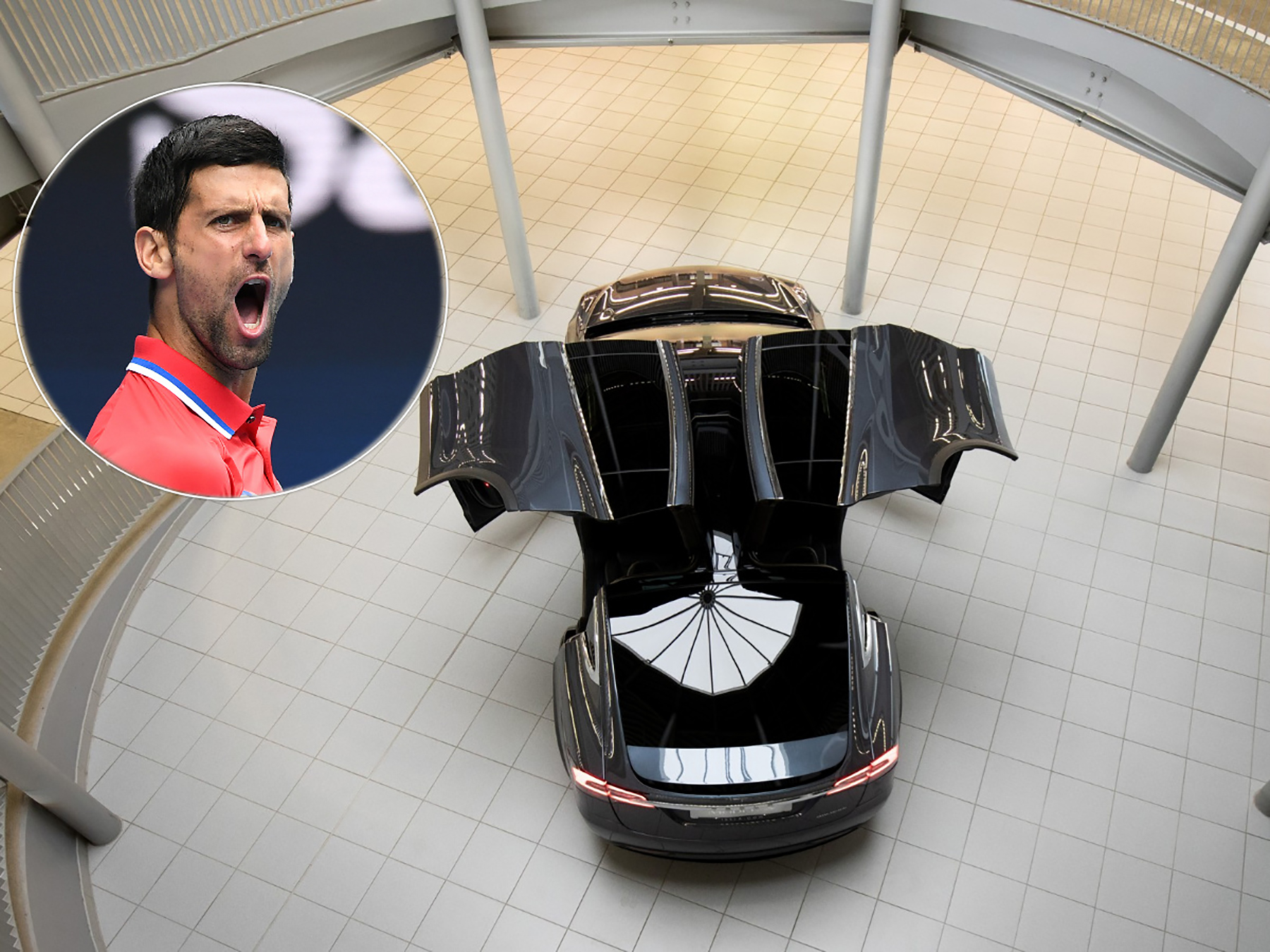 novak i tesla