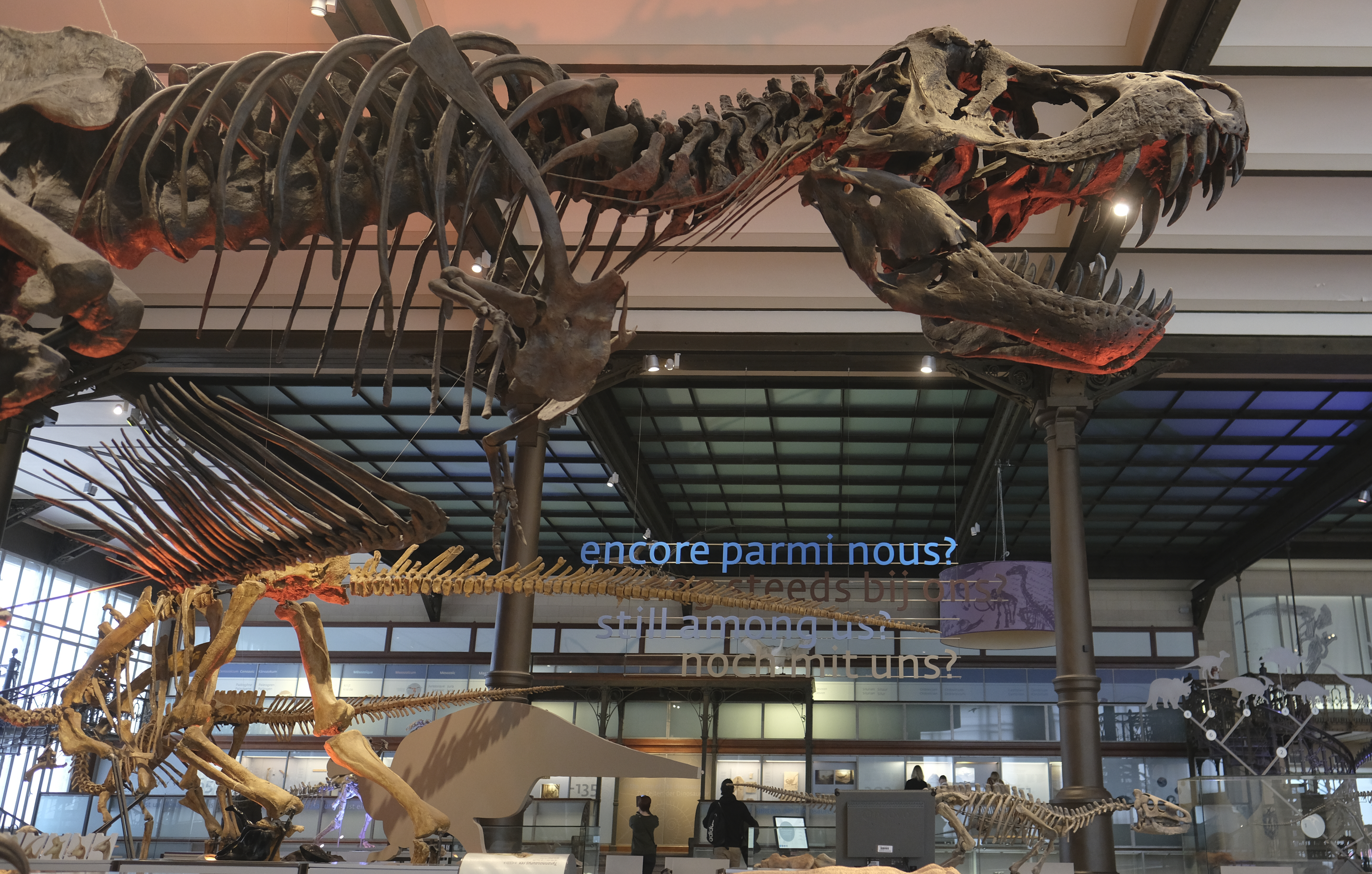 Brussels Natural Science Museum