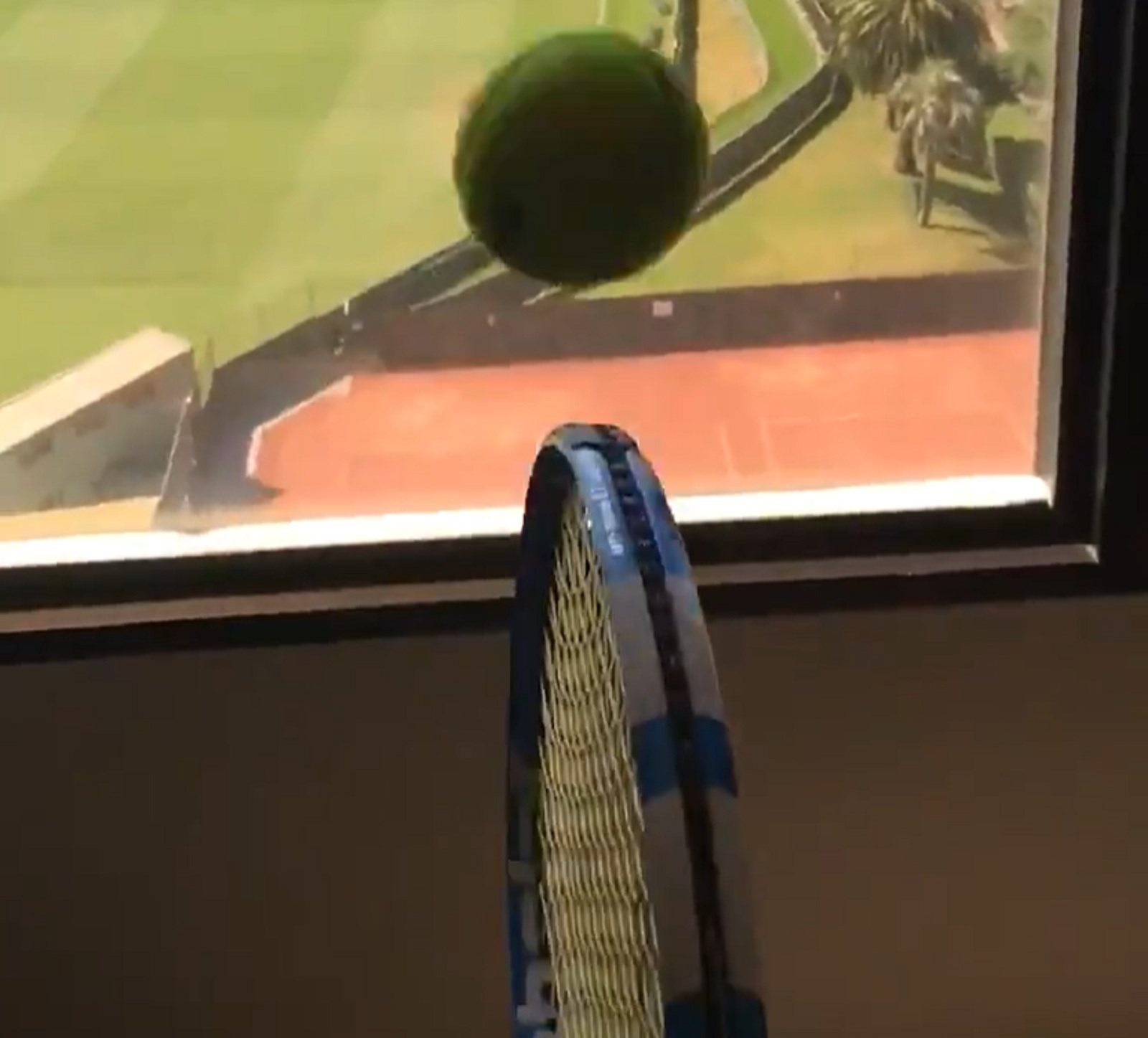 vaselan loptica poligon