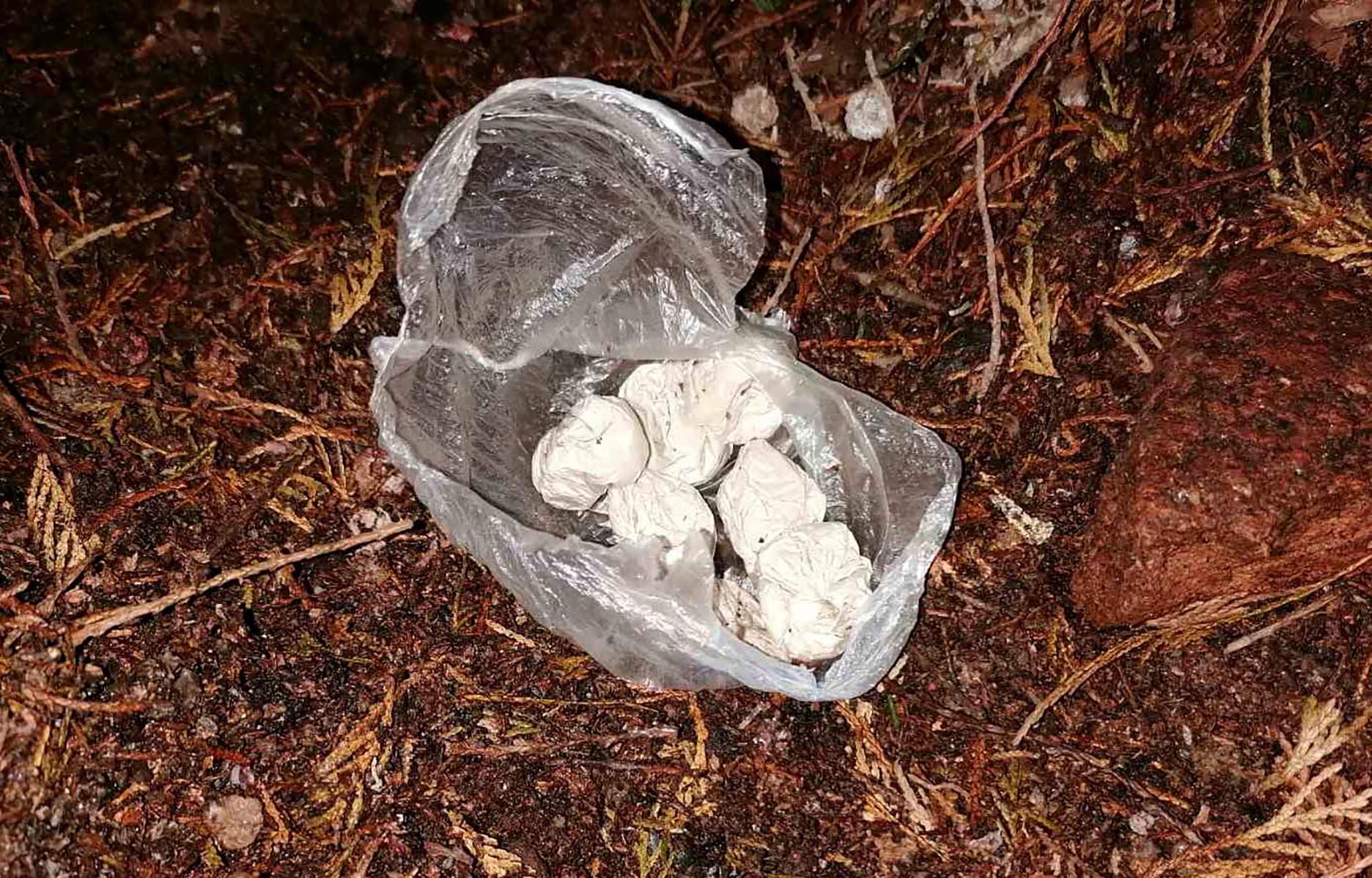 droga hapsenje beograd