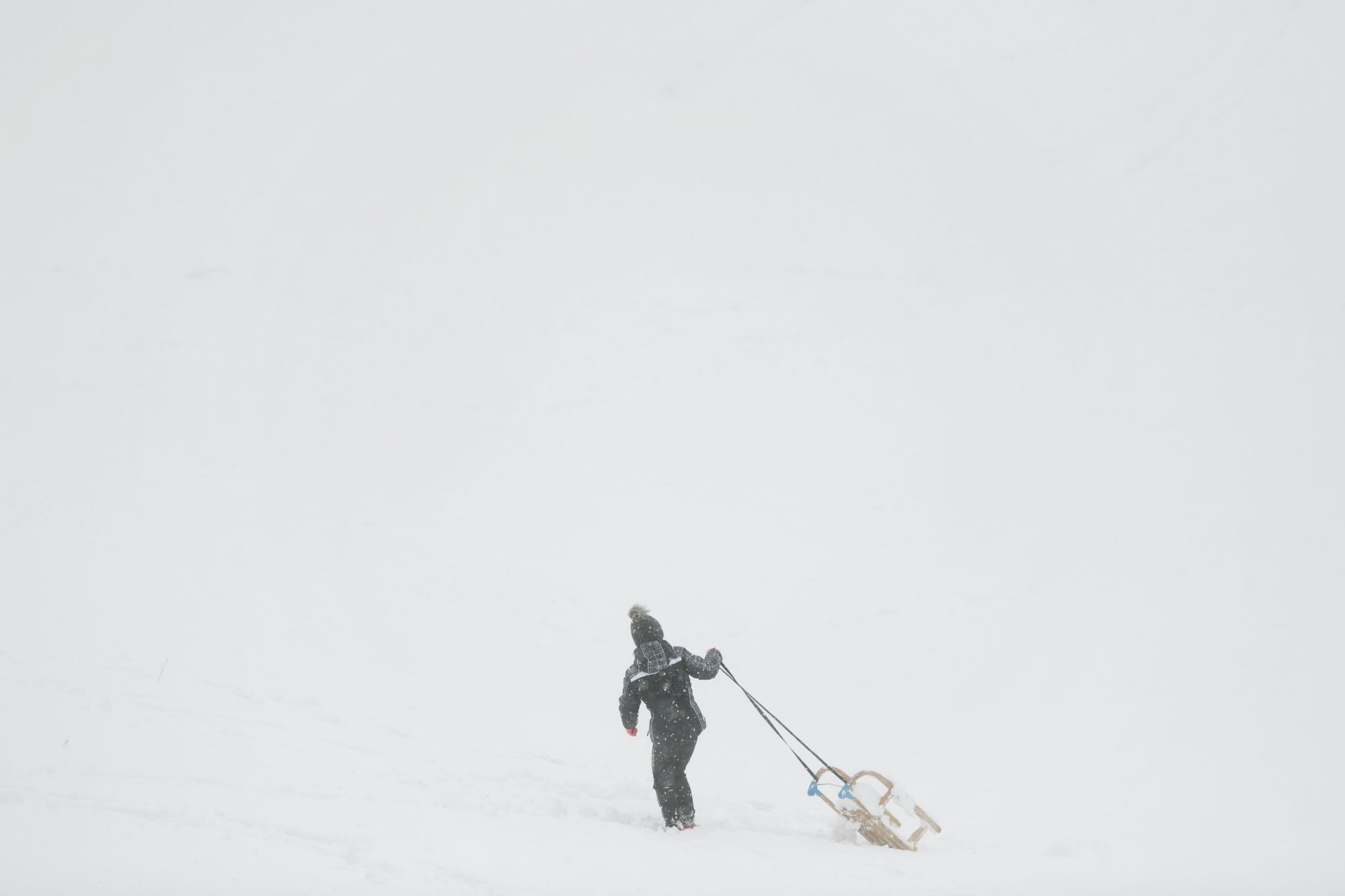 Beograd 24.03.2020. Košutnjak, Sneg, sankanje, dete, deca, zima u proleće, sneg u proleće, koronavirus, vanredno stanje Foto: Filip Krainčanić/Nova.rs