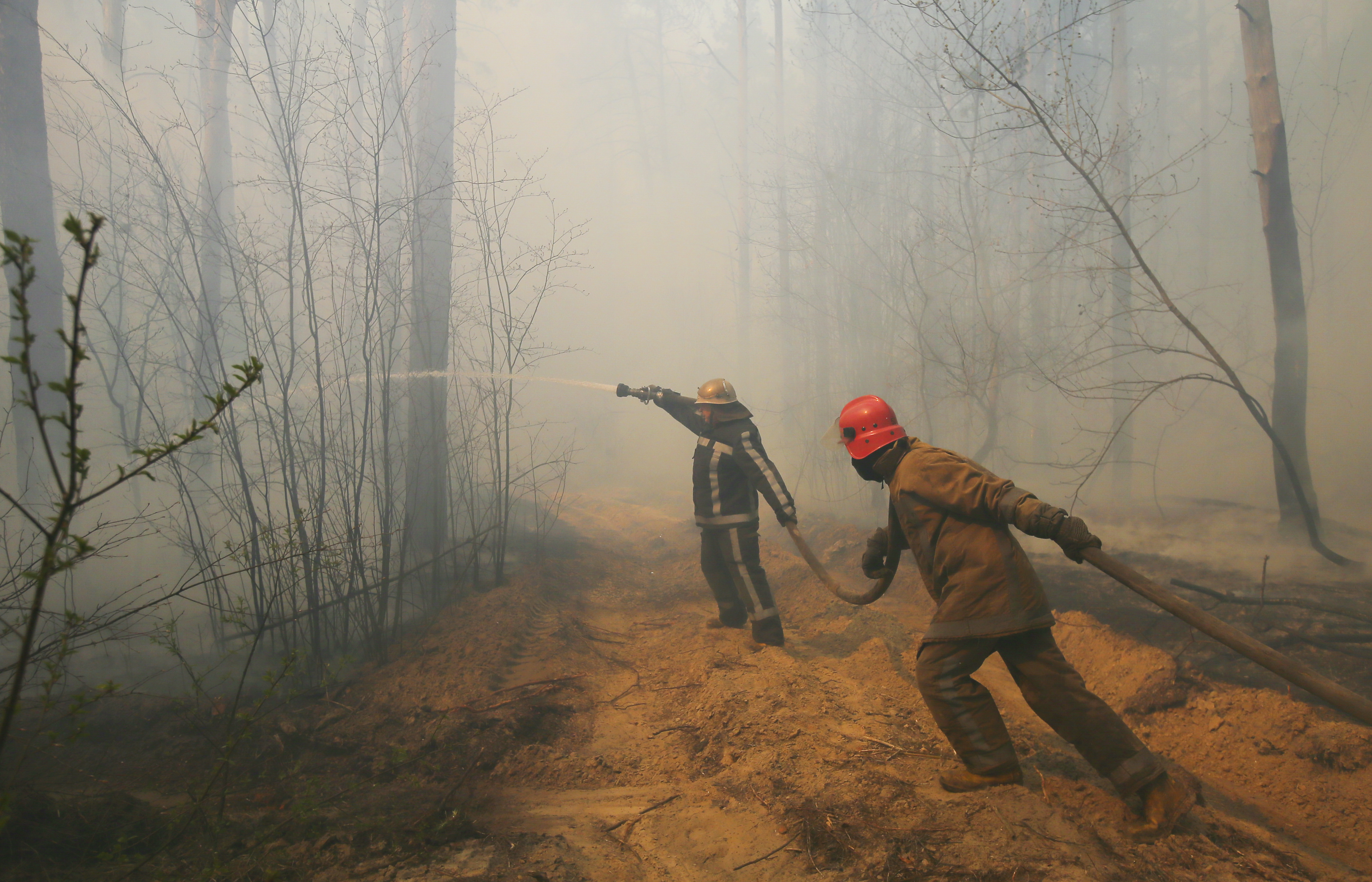 Forest fire at exclusion zone around Chernobyl nuclear power plant