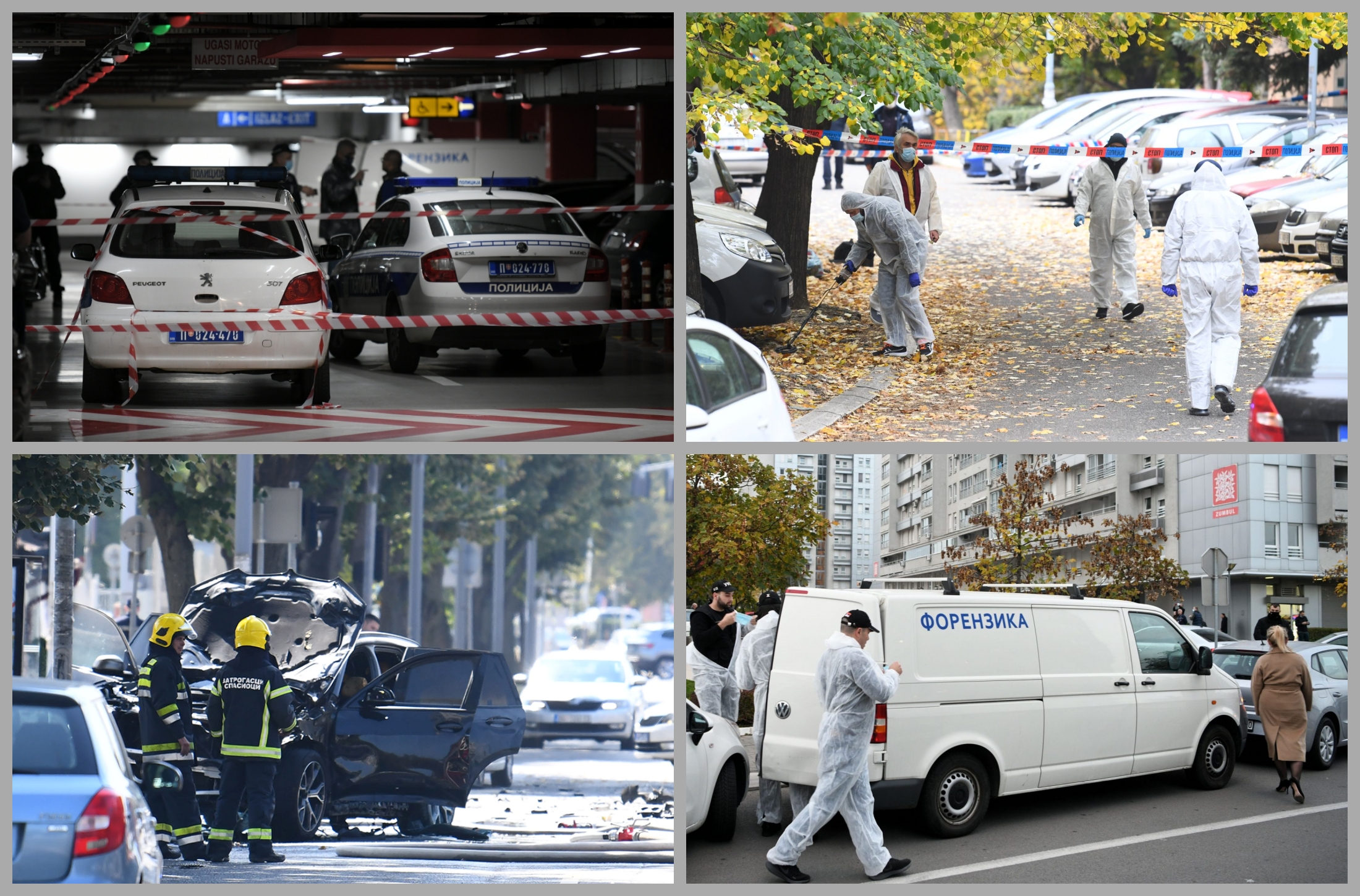 ubistva Aleksandar Šarac Strahinja Stojanović Repčić