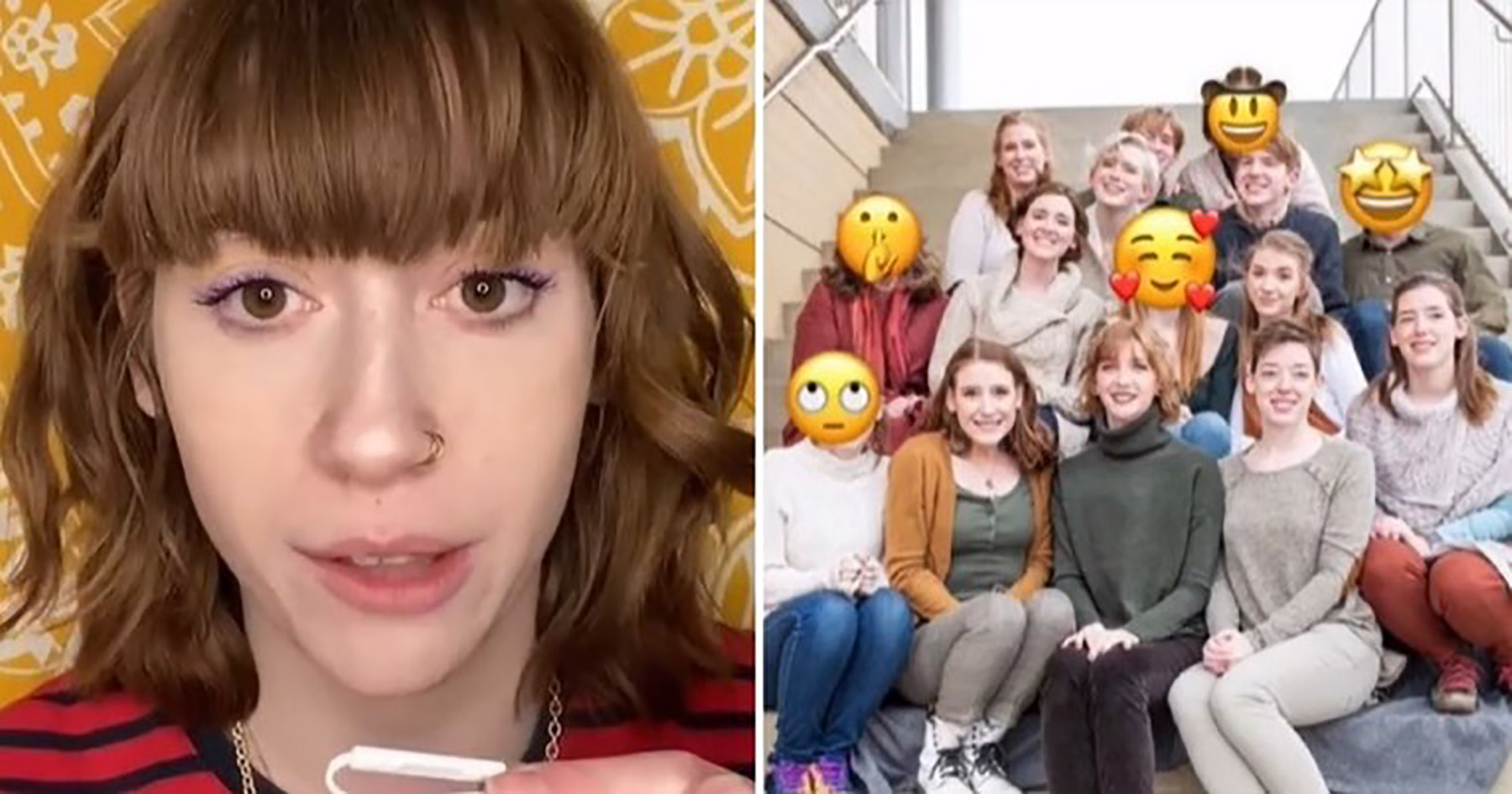 mnogoljudna porodica