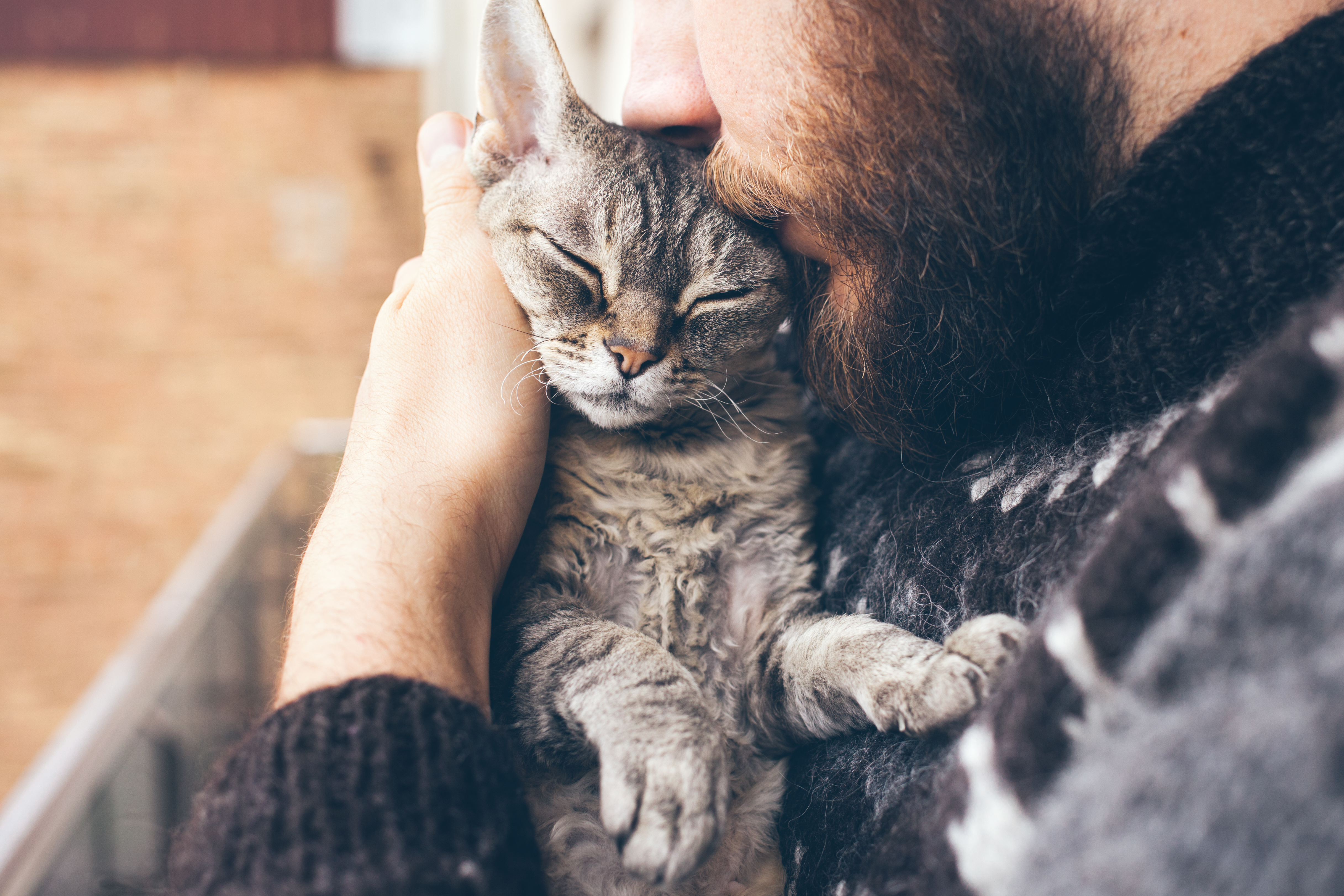 Close-up,Of,Beard,Man,In,Icelandic,Sweater,Who,Is,Holding