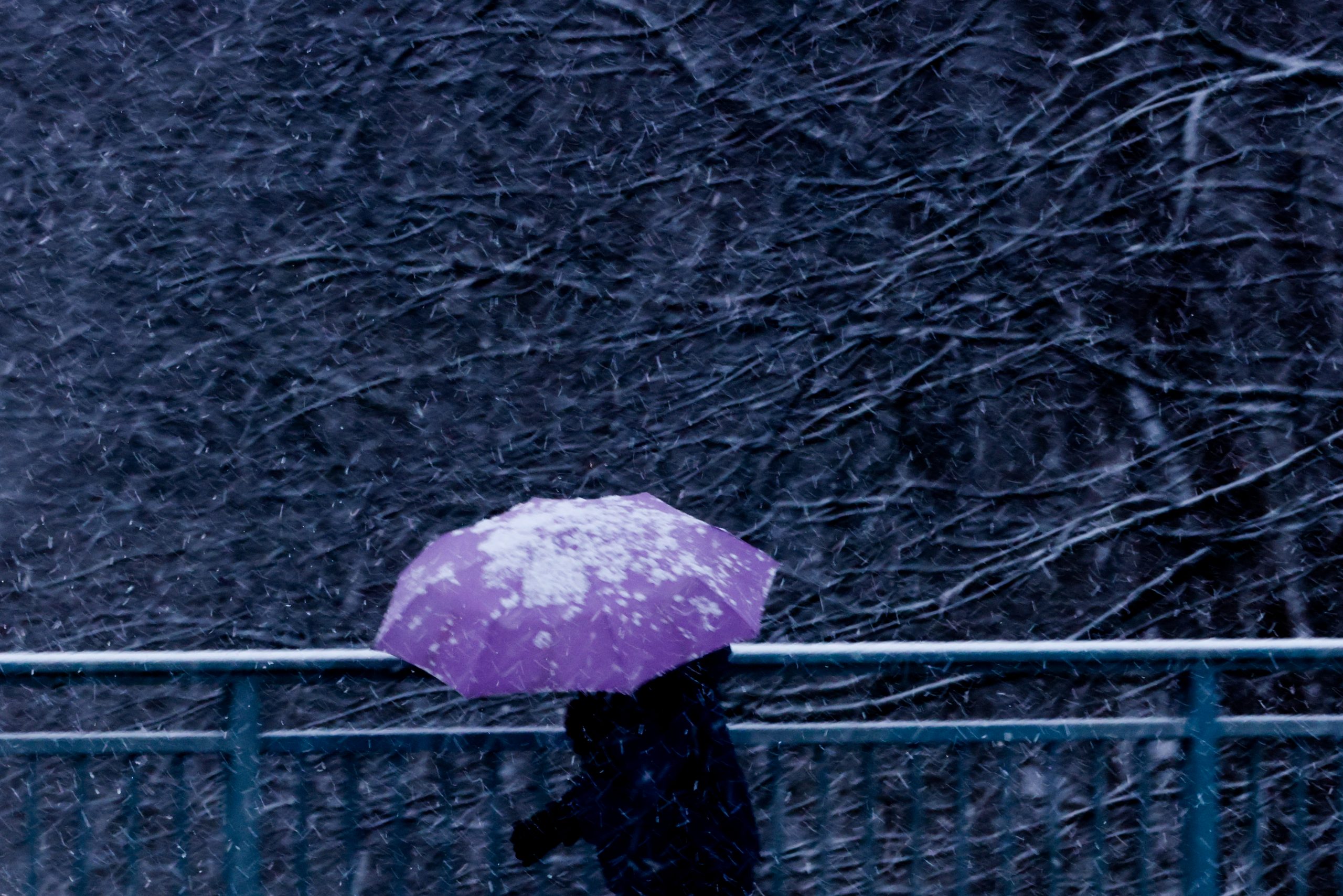 epa09631100 A pedestrian walks with umbrella in a snow-covered park during a frosty morning in Berlin, Germany, 09 December 2021.  EPA-EFE/FILIP SINGER