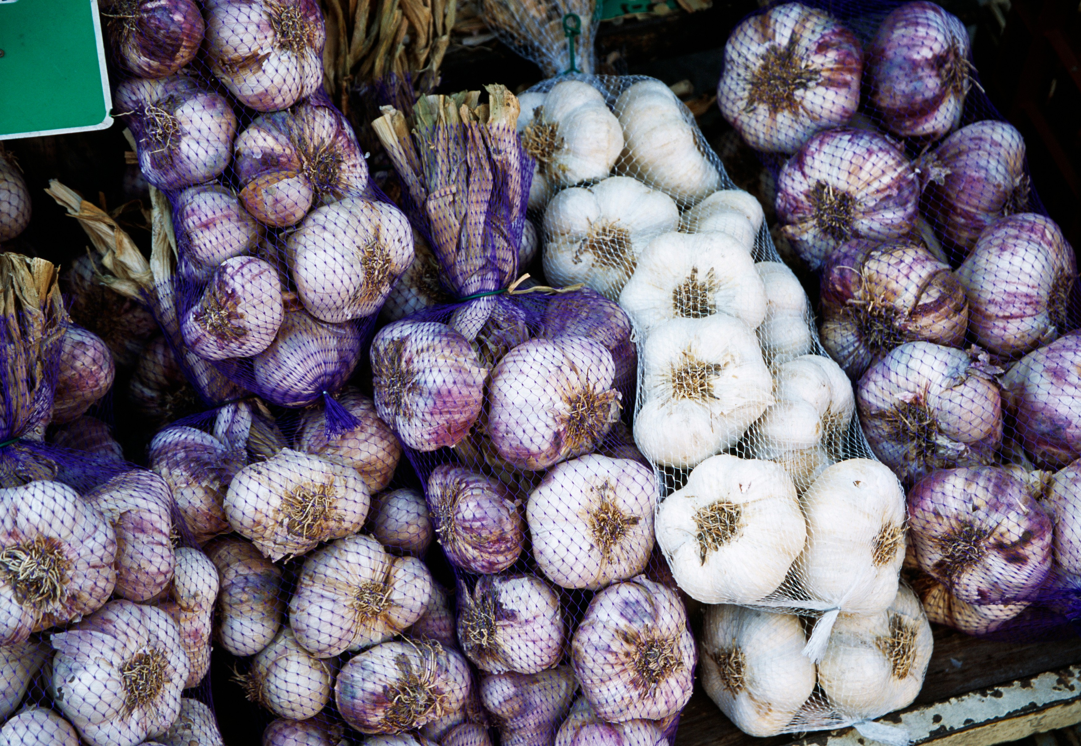 Foto: ANTONIA REEVE / Sciencephoto / Profimedia