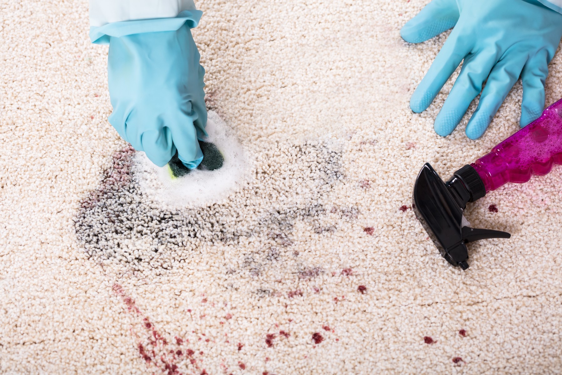Person Cleaning Stain Of Carpet With Sponge