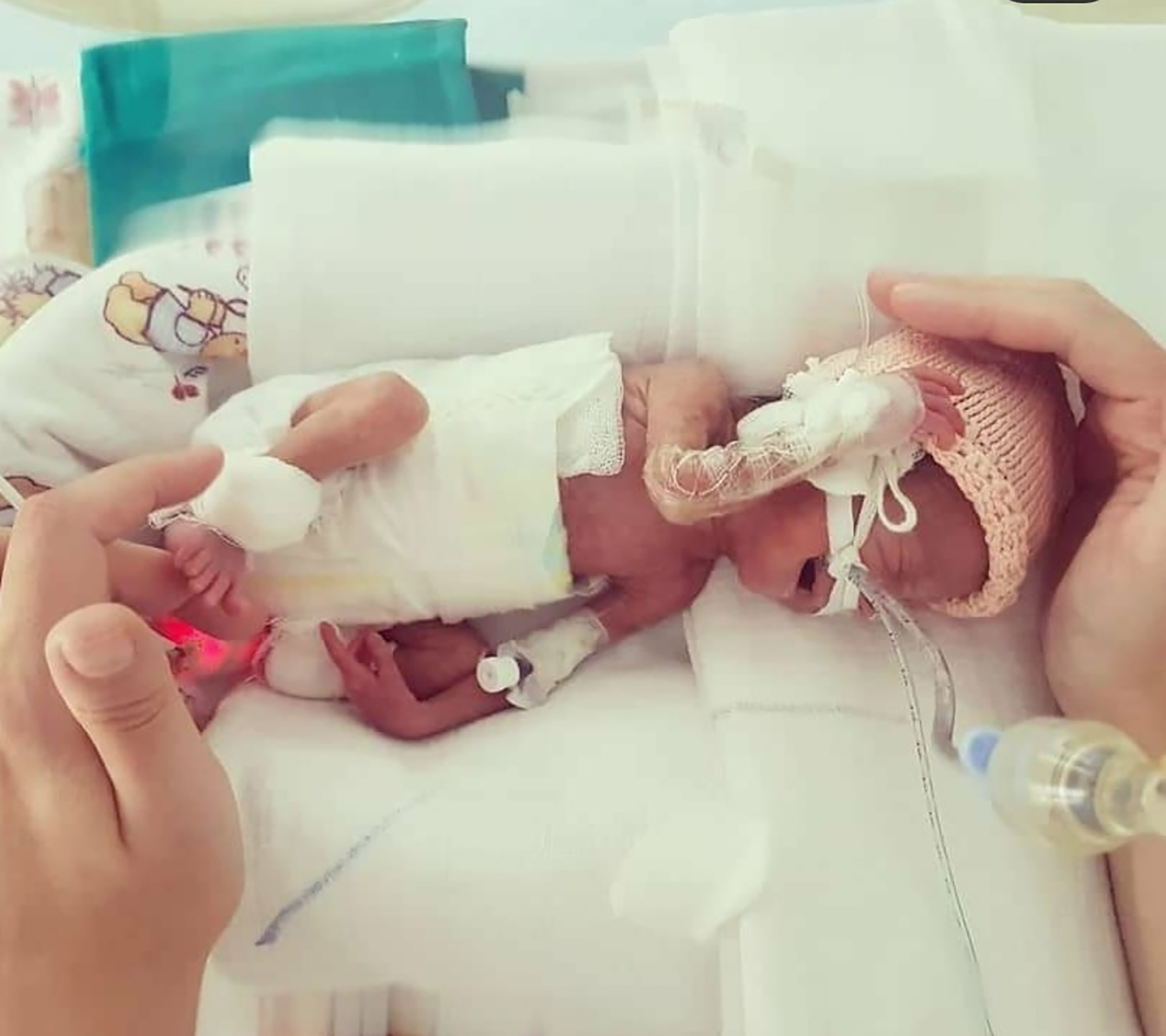 Cerka Vladimir Arsenijević poslala Nela Buncic u saradnji sa Pero Jovovic