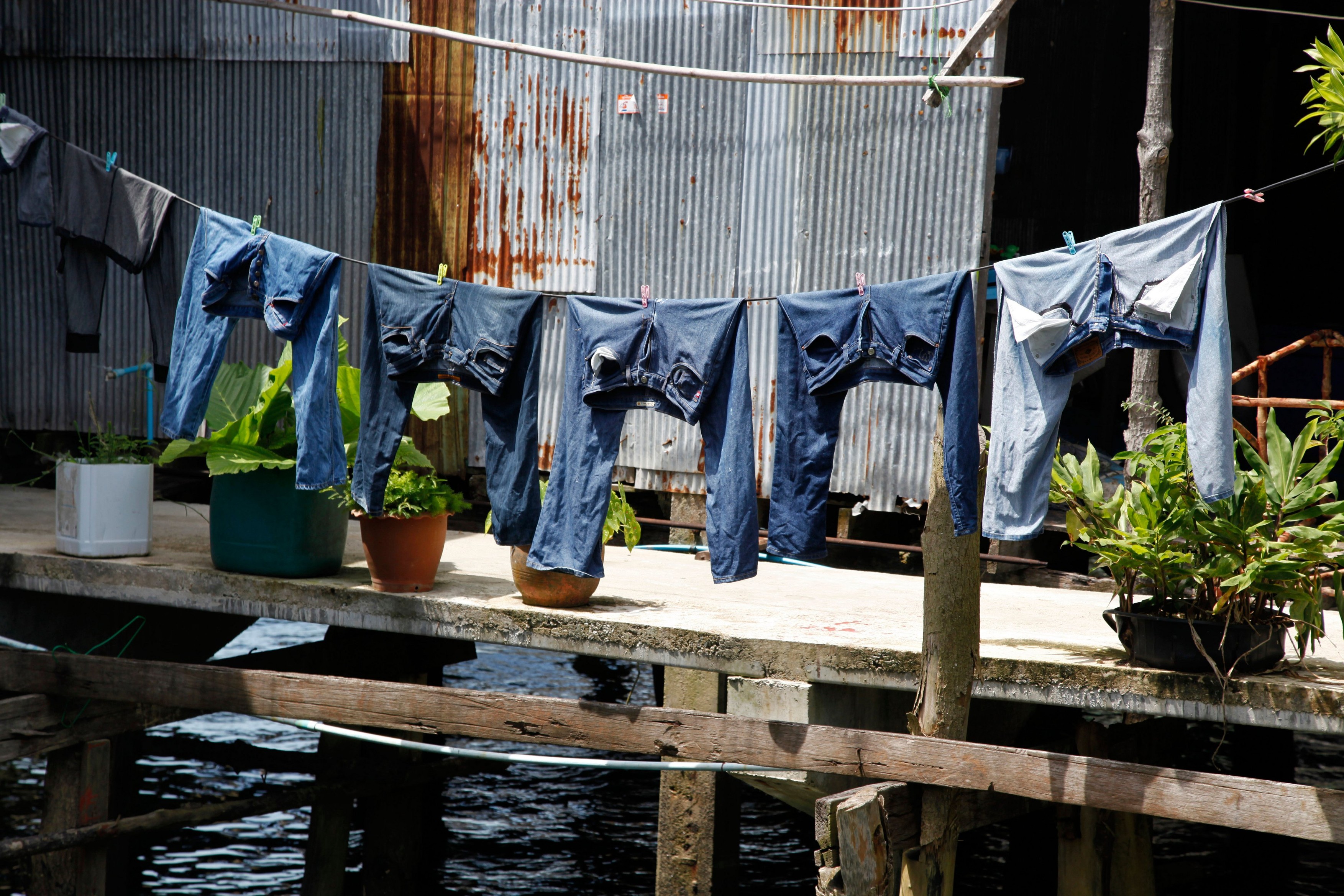 Foto: Paul Brown / Alamy / Profimedia