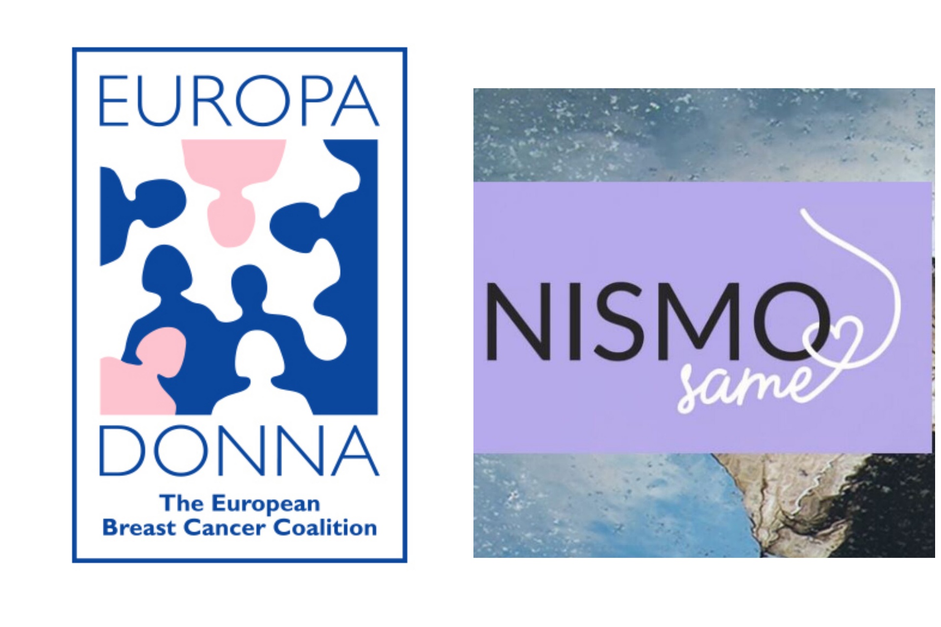 Nismo same, Europa Donna, The European Breast Cancer Coalition