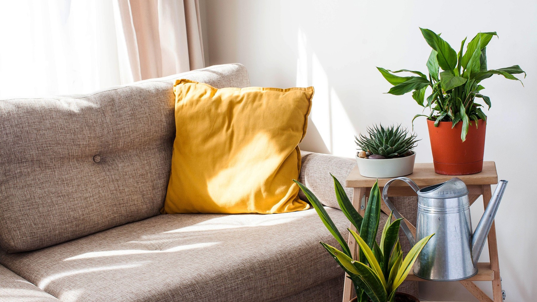 Home green plant Spathiphyllum in a pot with a watering can. The concept of house plants. Copy space. High quality photo,Image: 560535067, License: Royalty-free, Restrictions: , Model Release: no, Credit line: Victoriya Popova / Alamy / Alamy / Profimedia