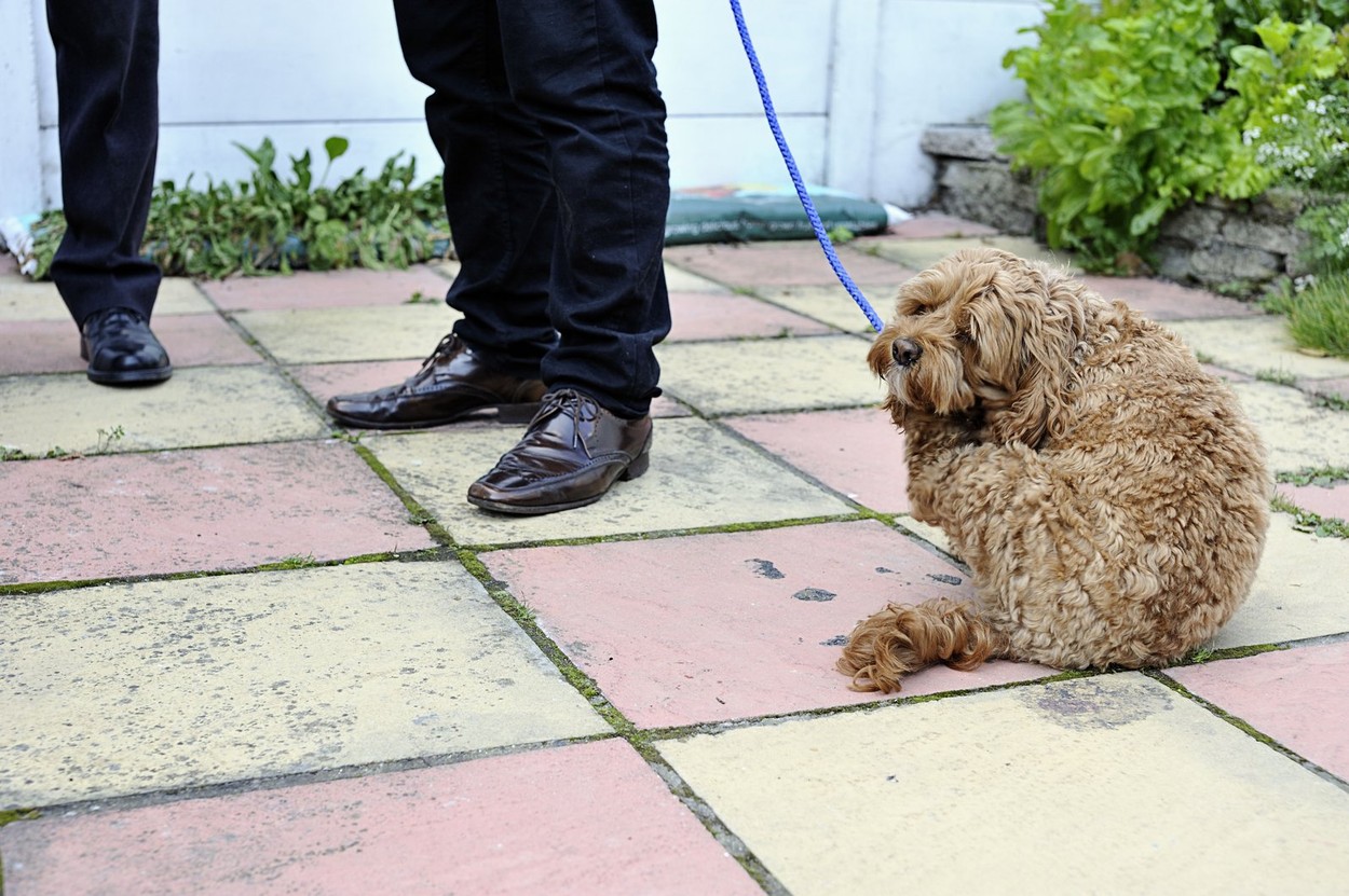 Image: 106676599, License: Rights-managed, Restrictions: , Model Release: yes, Credit line: Sally Mundy / Alamy / Profimedia