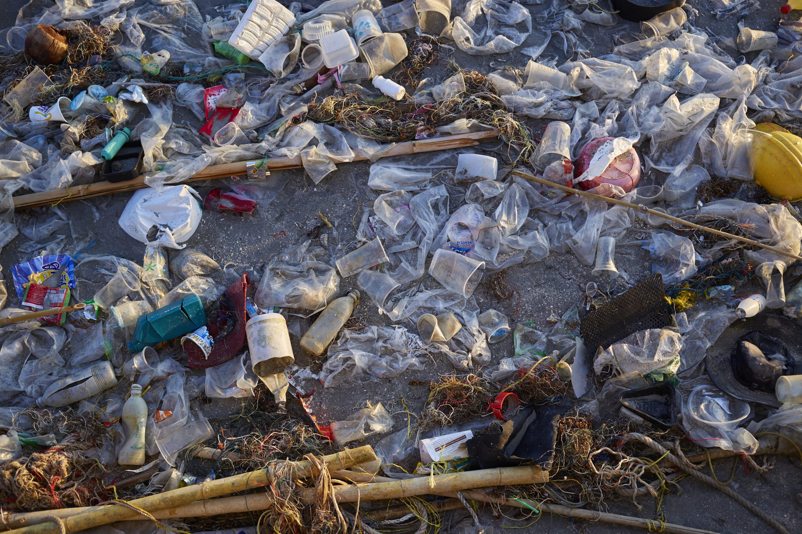 Garbage pollution on the beach, Environmental beach crisis.