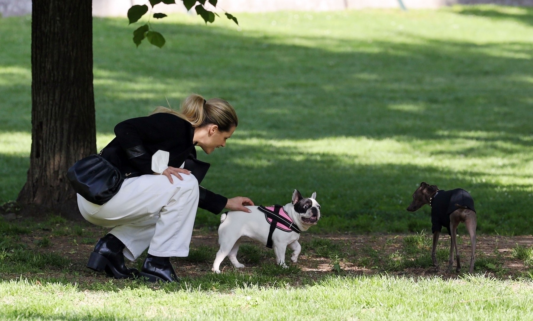*EXCLUSIVE* Swiss-Italian television actress Michelle Hunziker pictured taking her pet greyhound named Odin to the park before going to visit a pet store to get him some goodies in Milan.