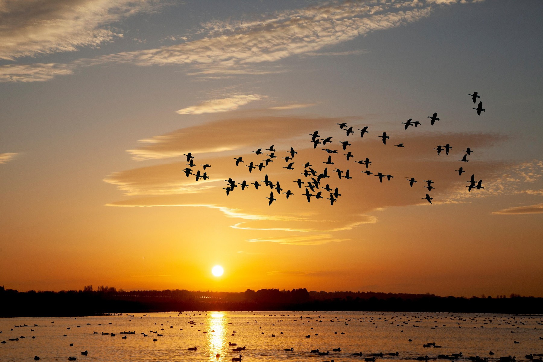 Burscough, Lancashire. UK Weather. 15th Nov, 2018. Colourful sunset over Martin Mere Bird Reserve as migratory ducks, geese and swans return to the Wetlands to roost as the sun sets over the wetlands.  Credit: MediaWorldImages/AlamyLiveNews