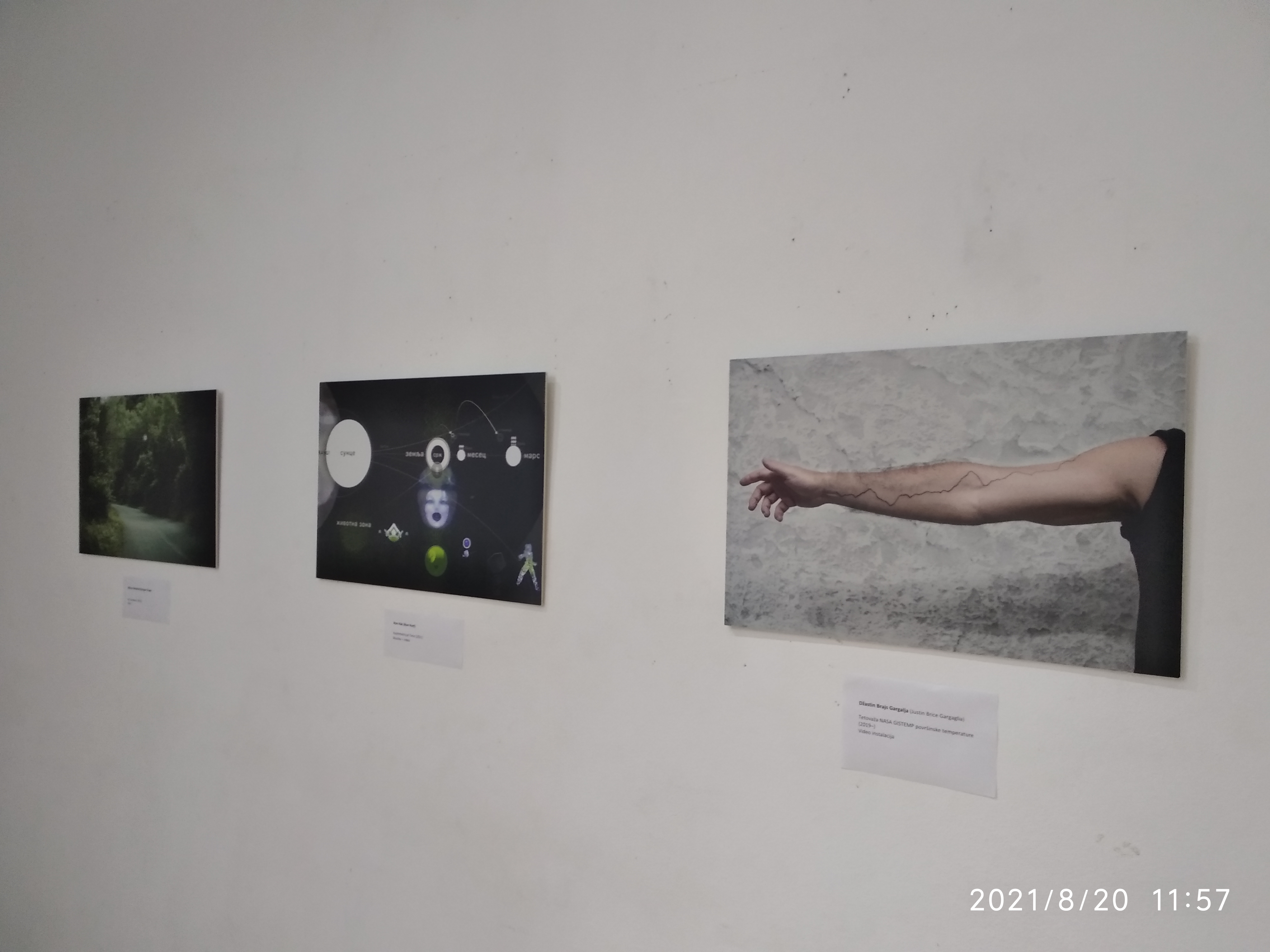 1.Gargalja, Ron Hat, Biljana Golubović