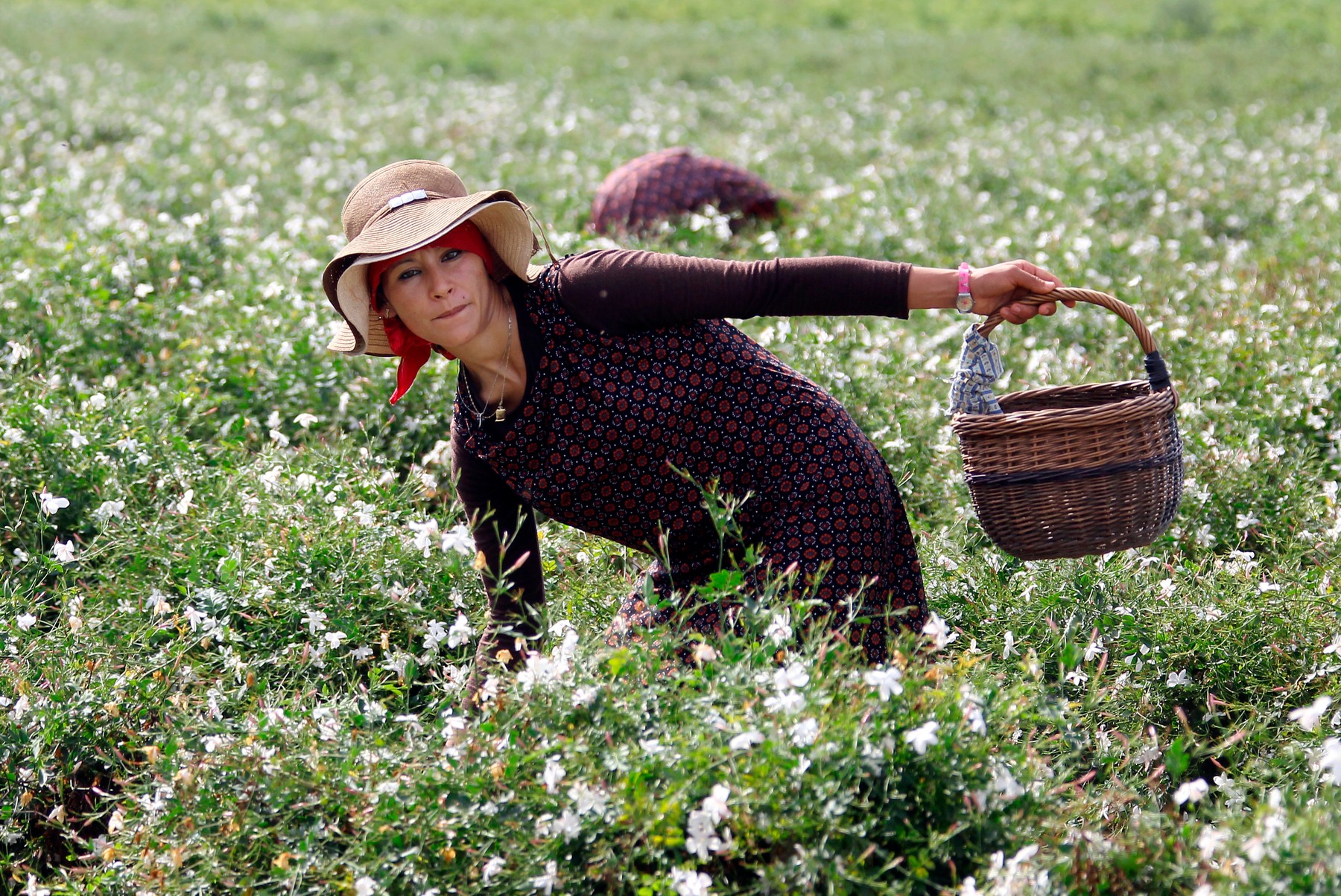 profimedia-0102093533