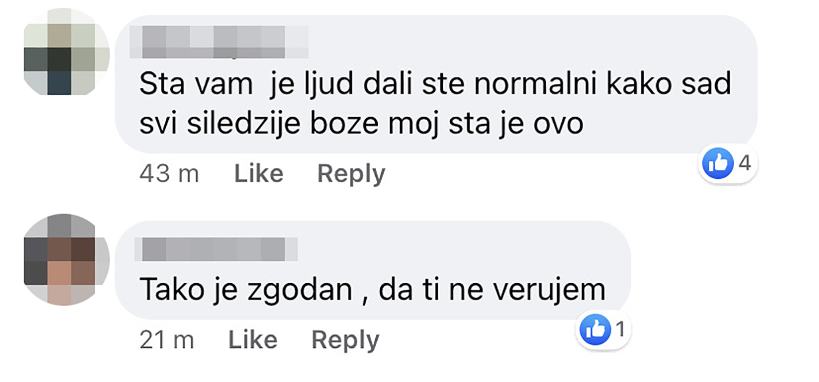 Branislav Lečić, komentari Foto: Društvene mreže