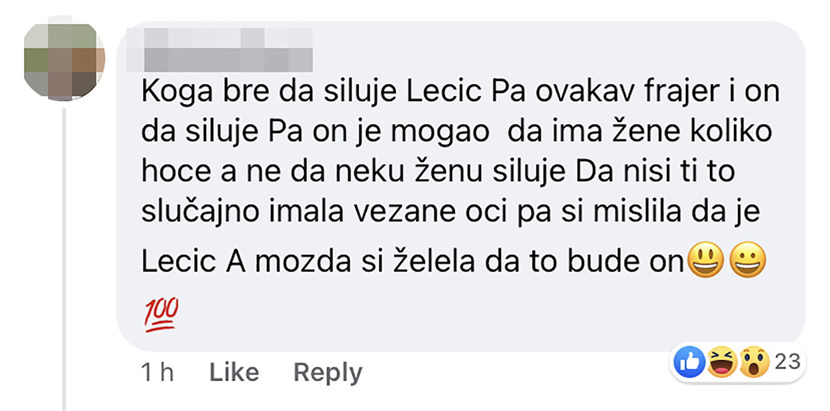 Branislav Lečić, komentari Foto: Društvene mreže