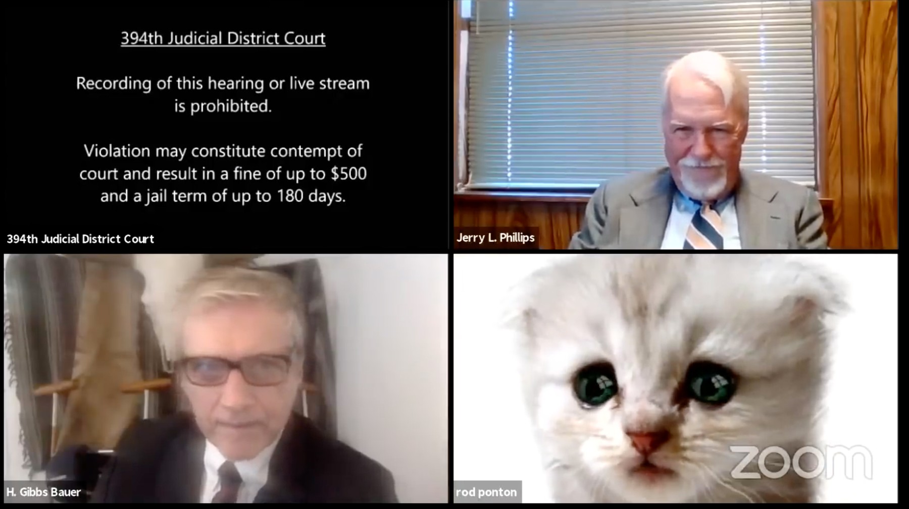 Lawyer appears for virtual court hearing with a computer's kitten special effects filter turned on giving him a cat face