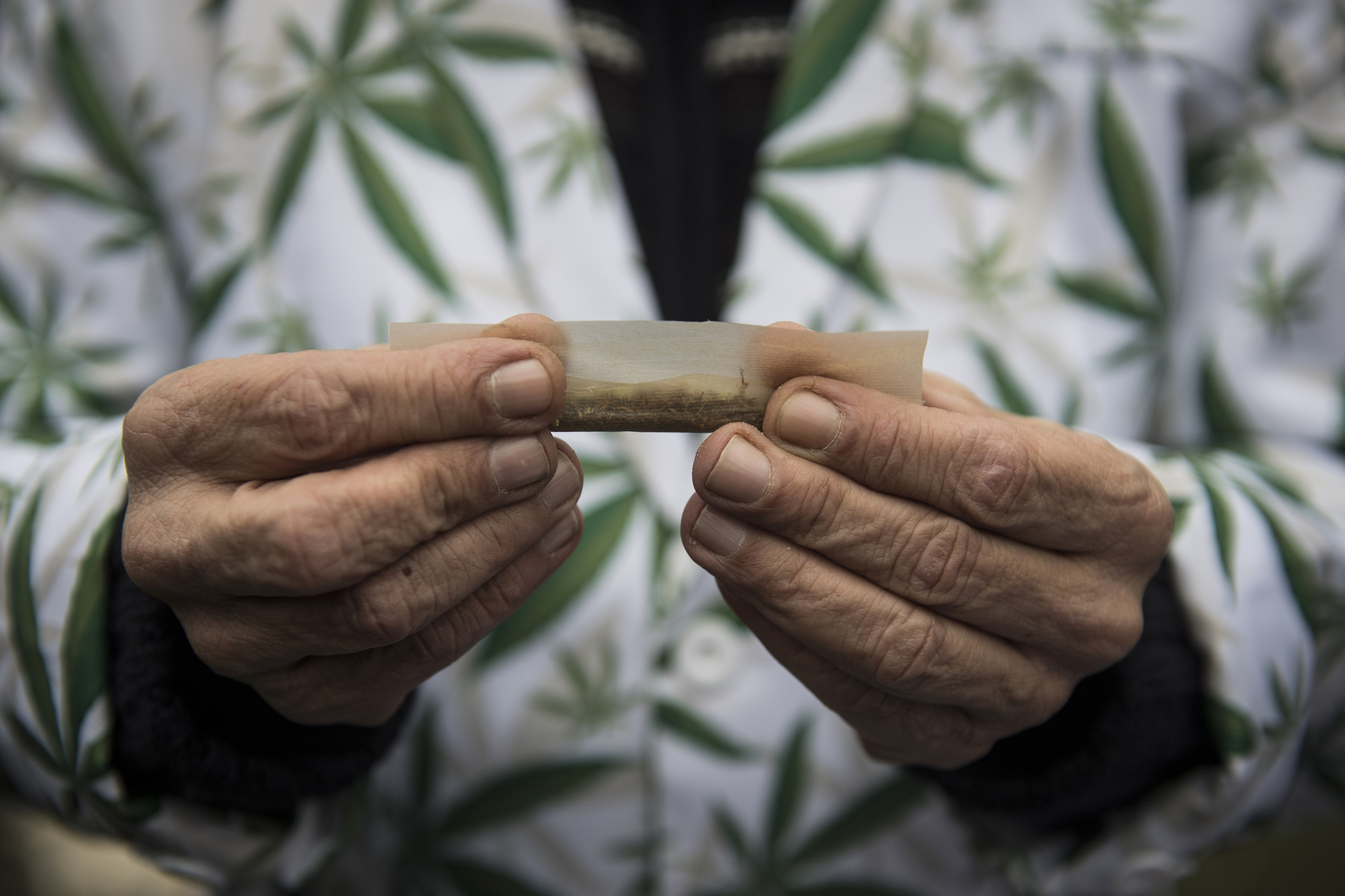 Demonstration for the Legalisation of Cannabis