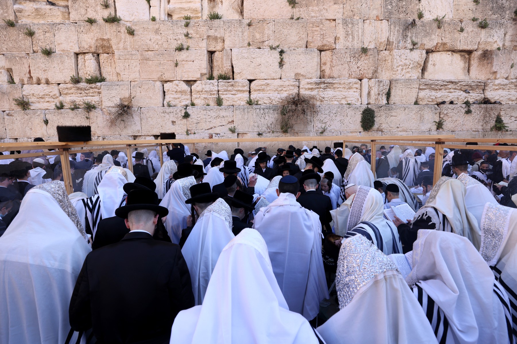 profimedia-0602004974(1)