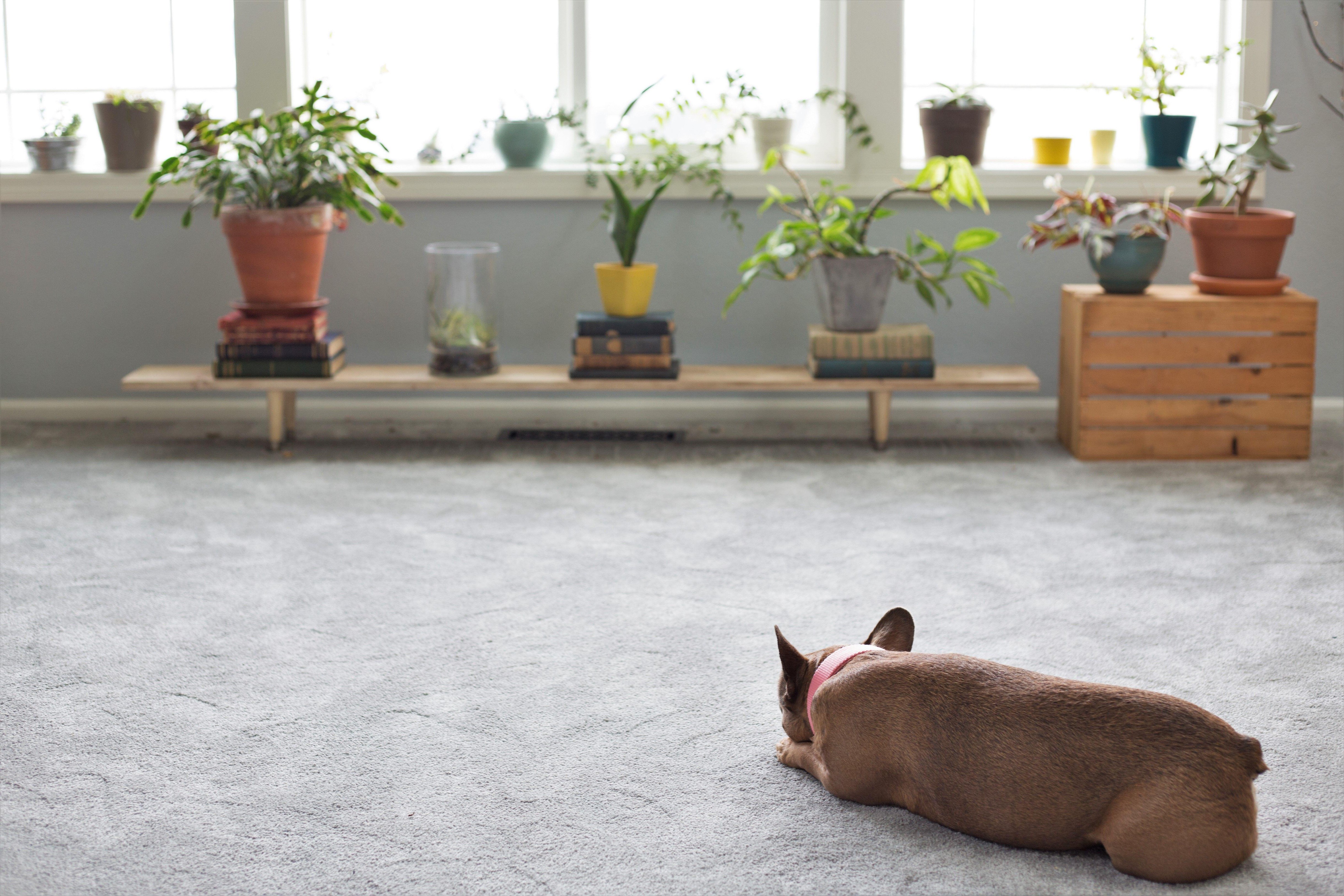 Image: 580016339, License: Rights-managed, Restrictions: , Model Release: no, Credit line: Gina Kelly / Alamy / Alamy / Profimedia