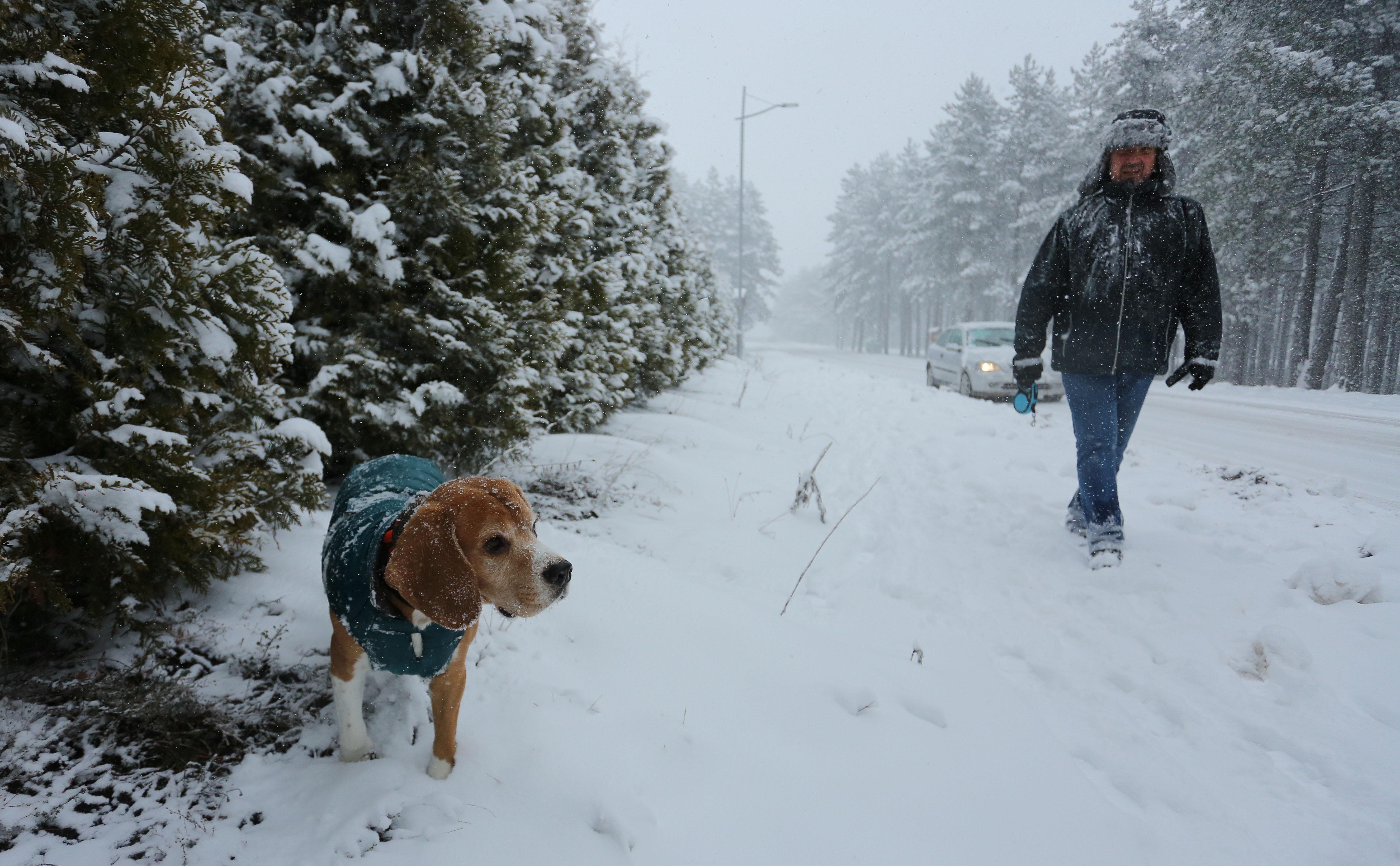 Zlatibor, 26.12.2020. - Prvi sneg ove zimske sezone zabeleo je Zlatibor. (BETAPHOTO/DRAGAN KARADAREVIC/EV)