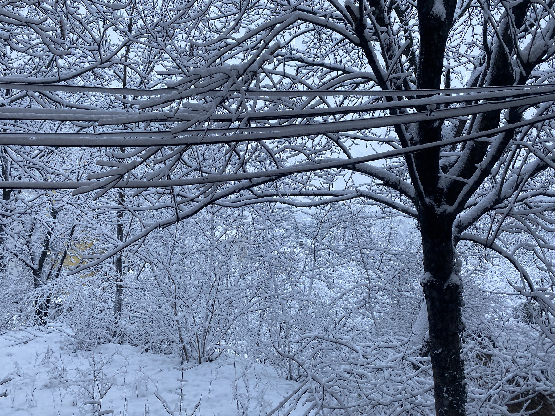 Sneg u Beogradu Vozdovac
