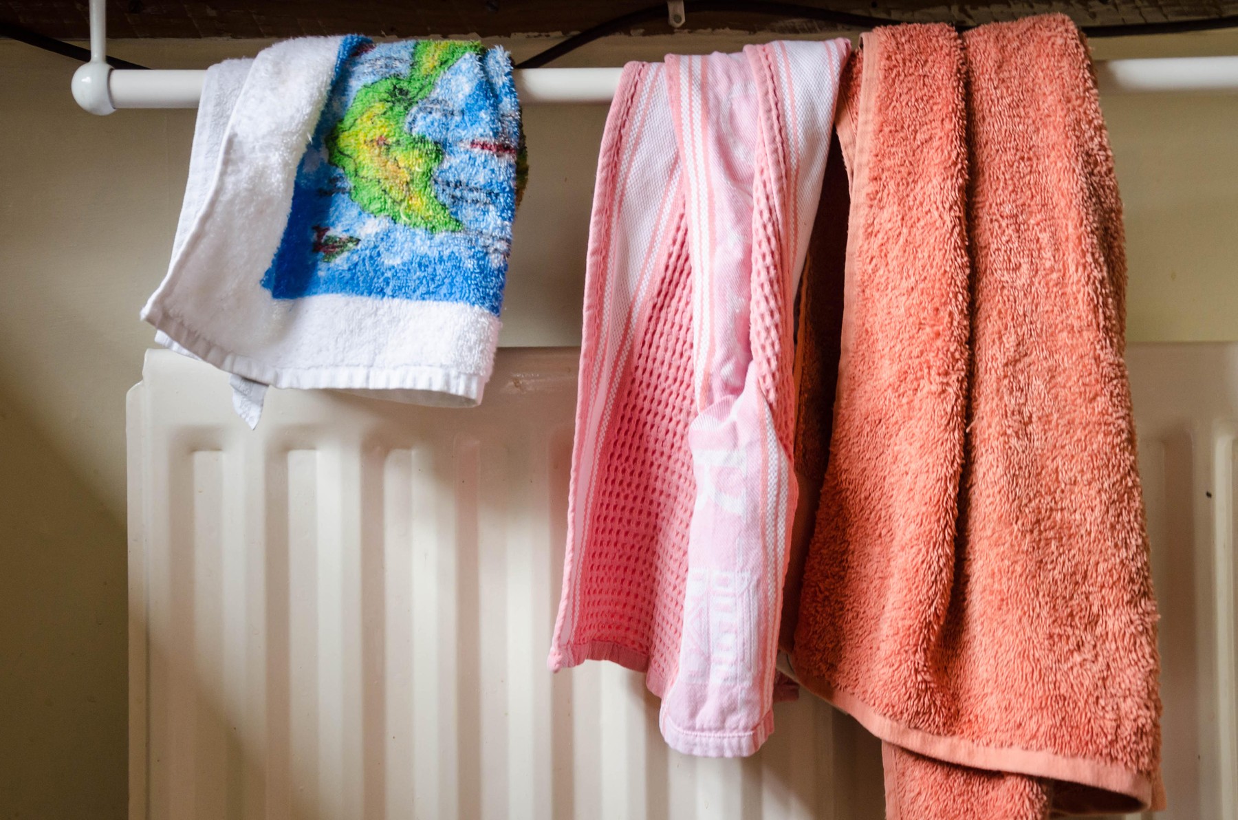 Image: 321248002, License: Royalty-free, Restrictions: , Model Release: no, Credit line: Matthew Ashmore / Alamy / Alamy / Profimedia