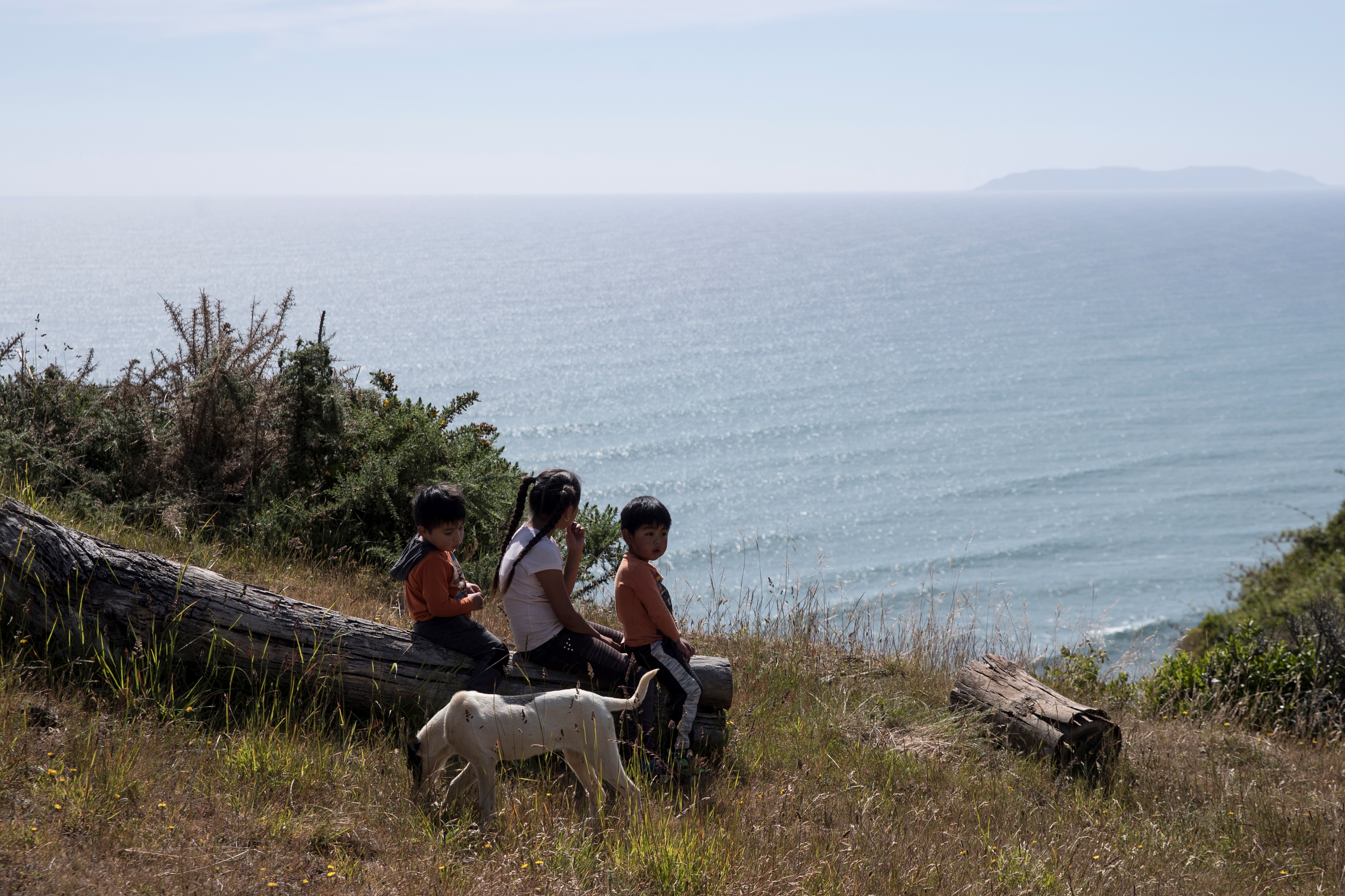 Daily life in the Carahue region, Chile