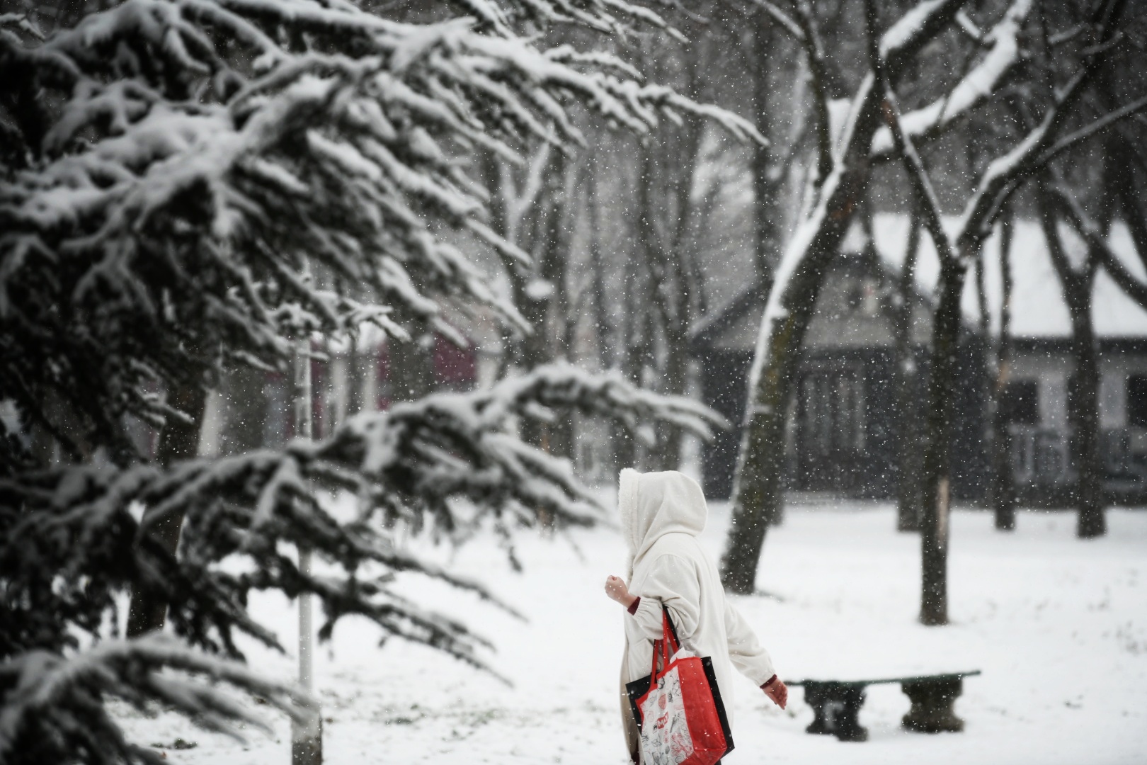 Beograd 17. januar 2021. Sneg u Beogradu iznenadio je danas gradjane Foto:Vesna Lalić/Nova.rs
