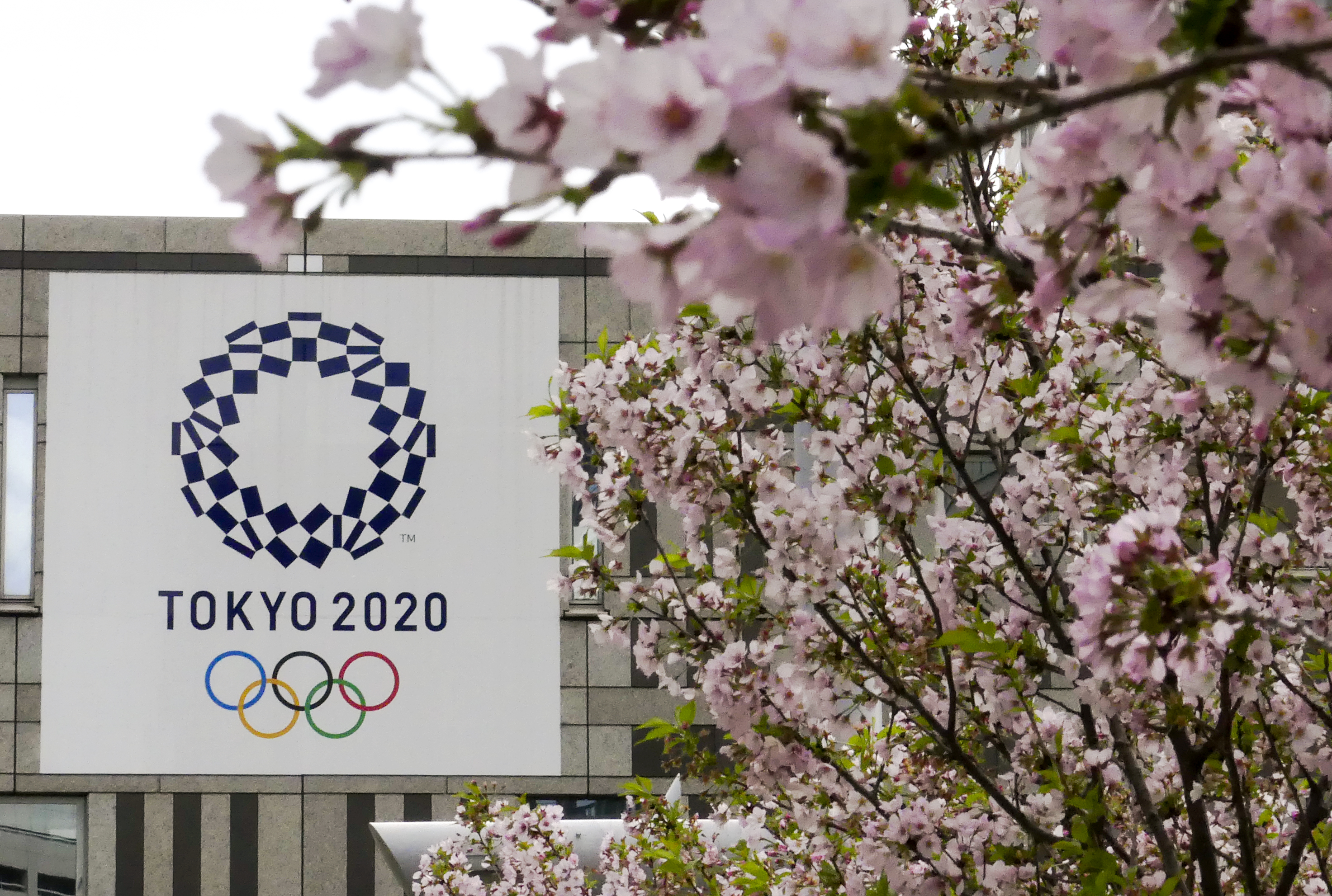 epa06649266 The logo of the Tokyo 2020 Olympic Games is seen through cherry blossoms in Tokyo, Japan, 06 April 2018. The Summer Olympic Games will start on 24 July 2020 and run until 09 August 2020.  EPA-EFE/KIMIMASA MAYAMA